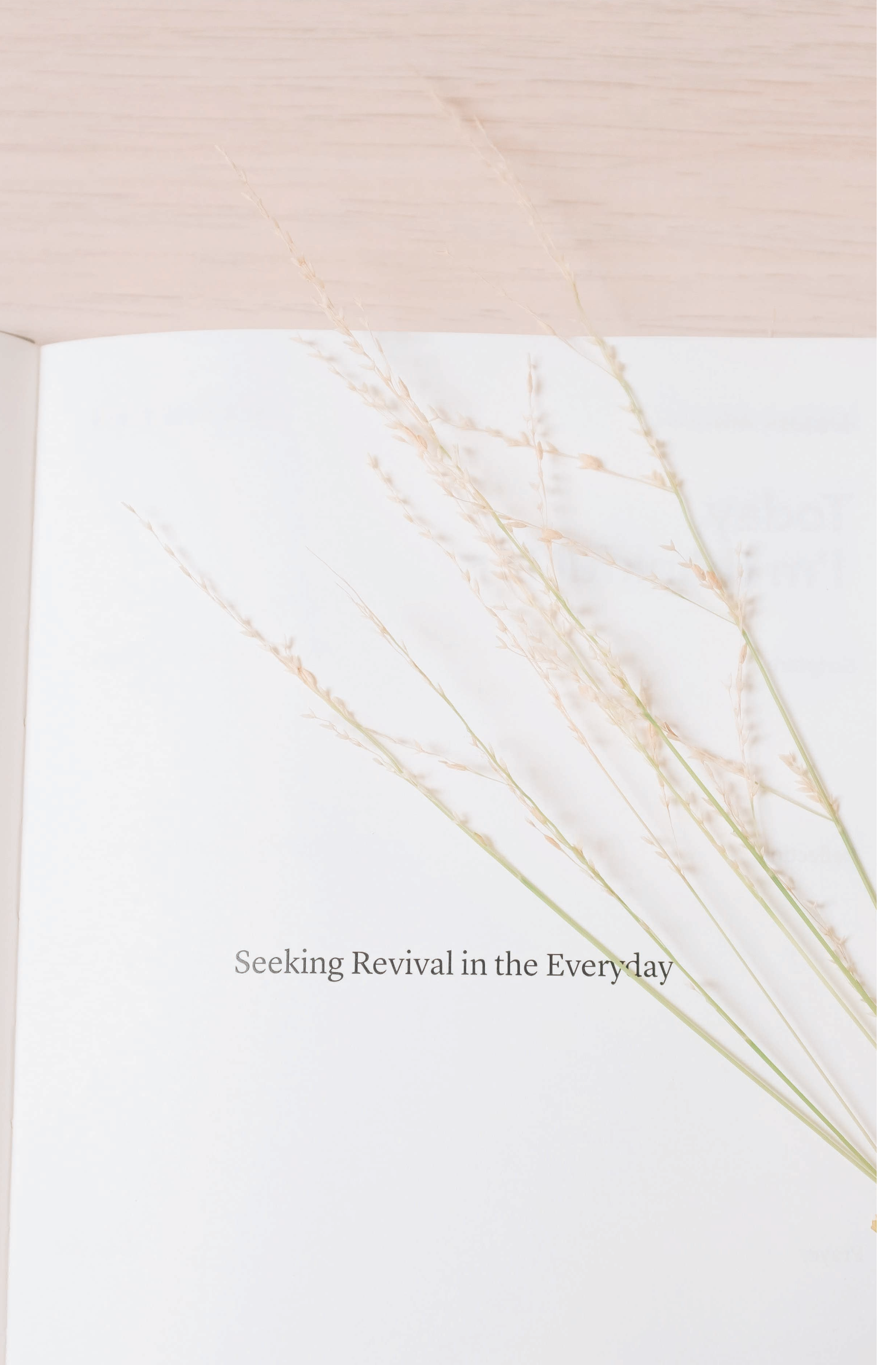 Clean Slate - PDF_Page_36.png