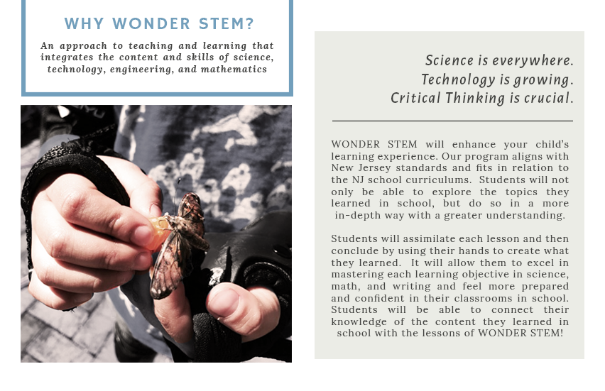 5. WONDER STEM.png