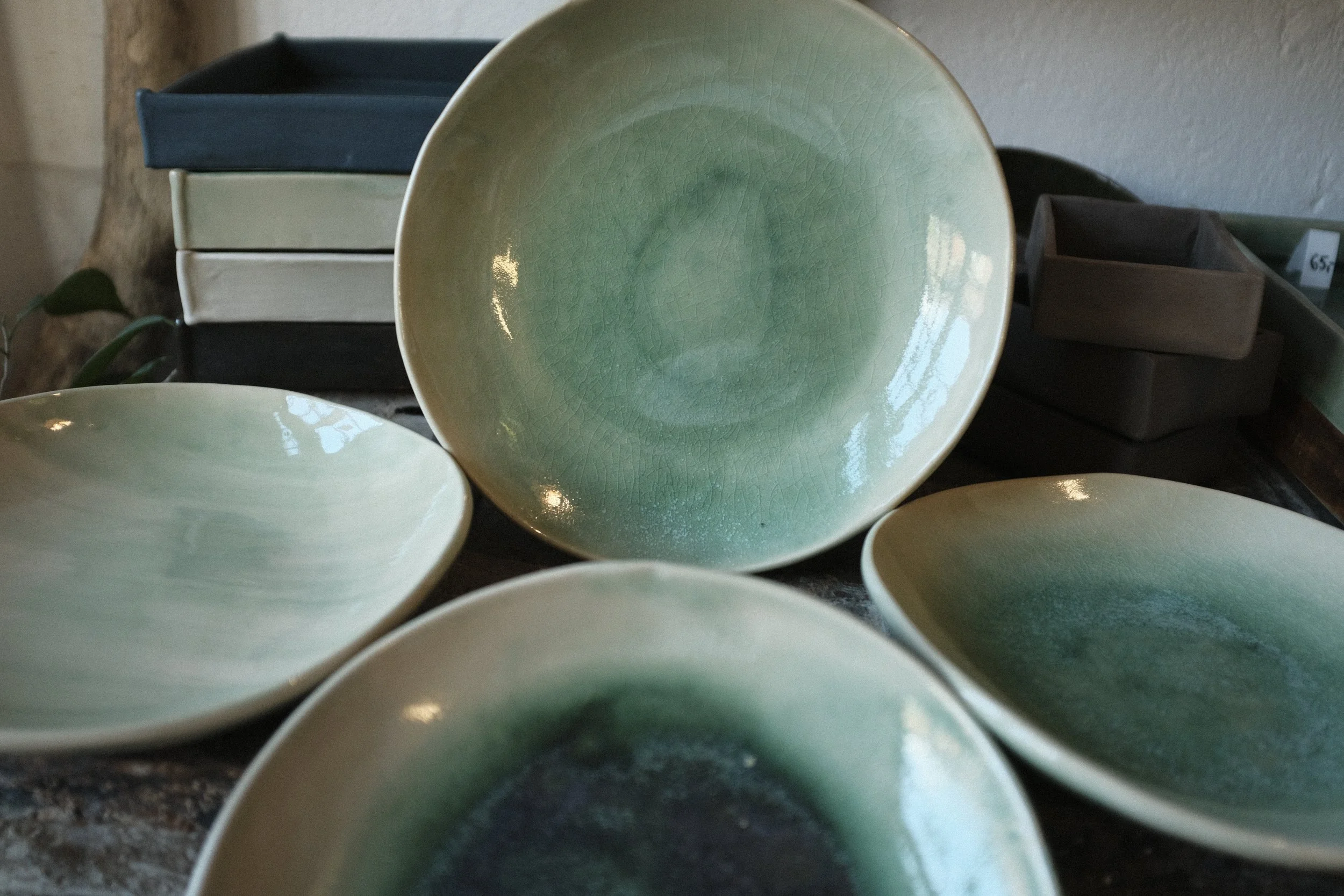 Stoneware dinner plates "Forest Pond"