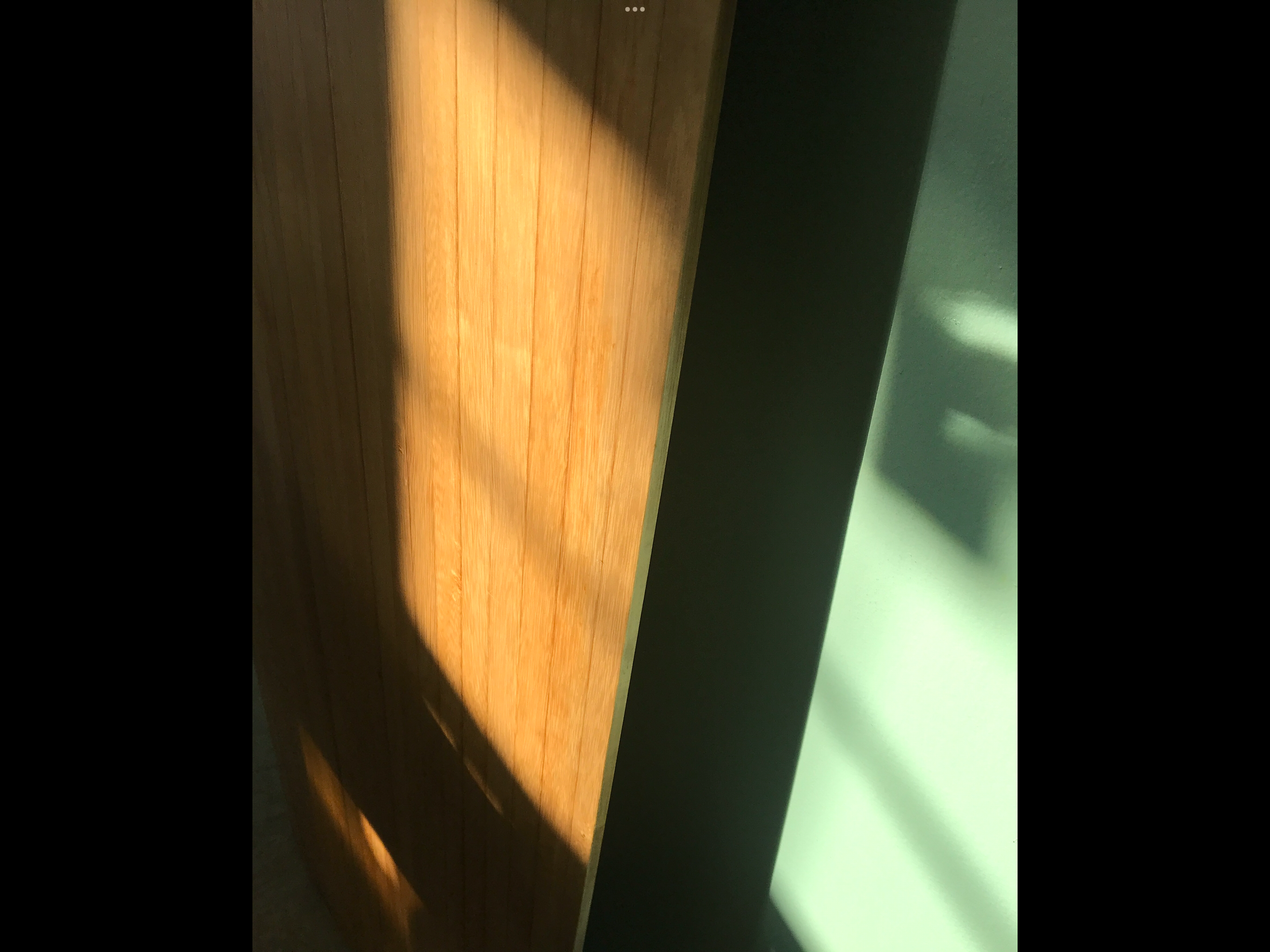 IMG_0145.png