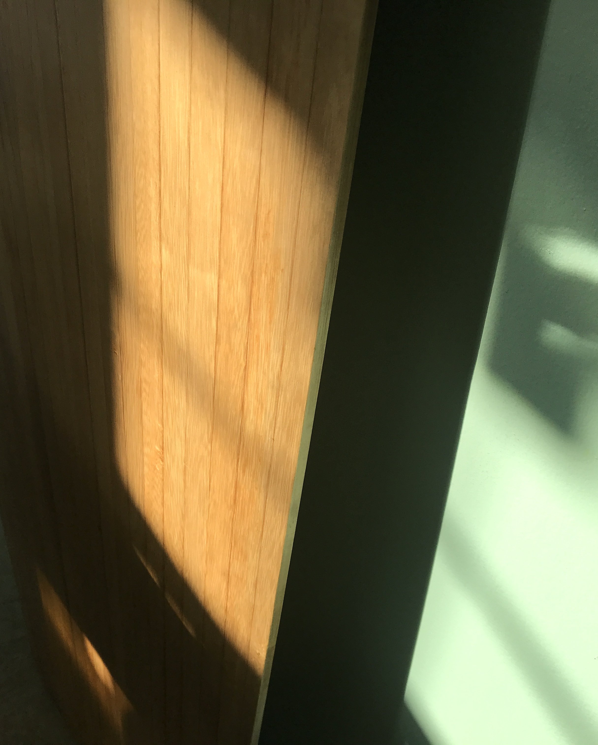 IMG_1907.jpeg
