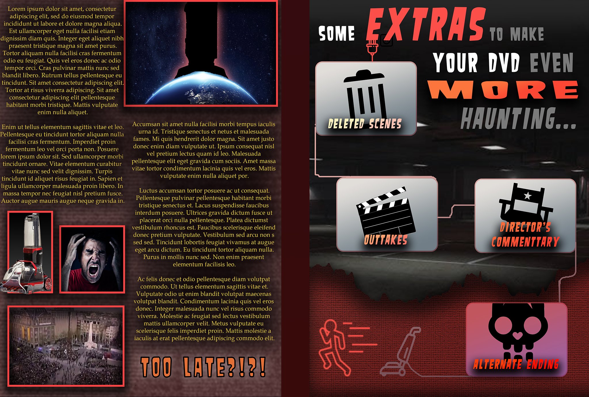 DVDWholeInsert.jpg