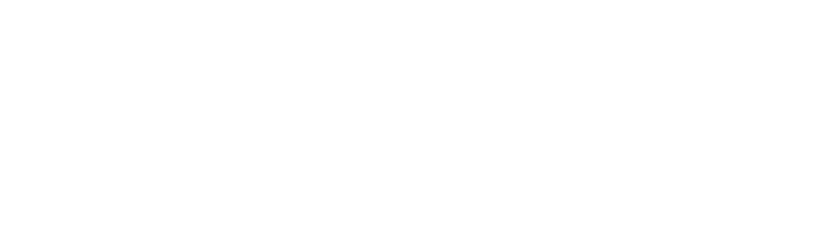 The New York Chapter of National Society of Arts and Letters