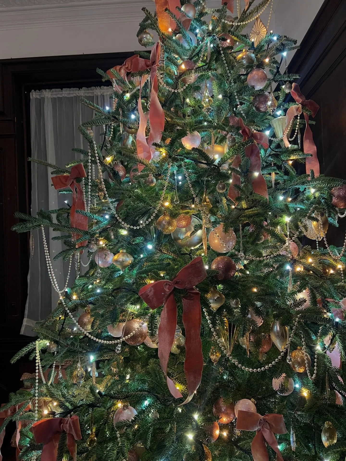 I hope you all had the happiest holidays &amp; will have an even happier new year ❤️ from my little fam to yours 

I cant believe this year is already coming to an end 🥹