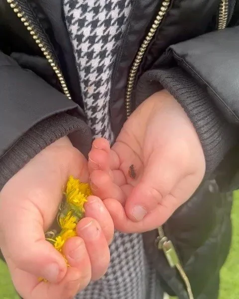 ✨Exploring our garden✨We are so lucky to have wide open space and our enclosed secure happy garden to explore #spring #montessori