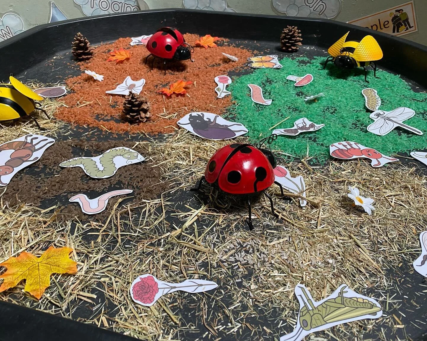 ✨We’re very exited to welcome all our children back from Easter break on Monday. The theme this term includes mini-beasts and hopefully watching caterpillars 🐛 become butterflies 🦋- a bit like our wonderful children who have been with us so l