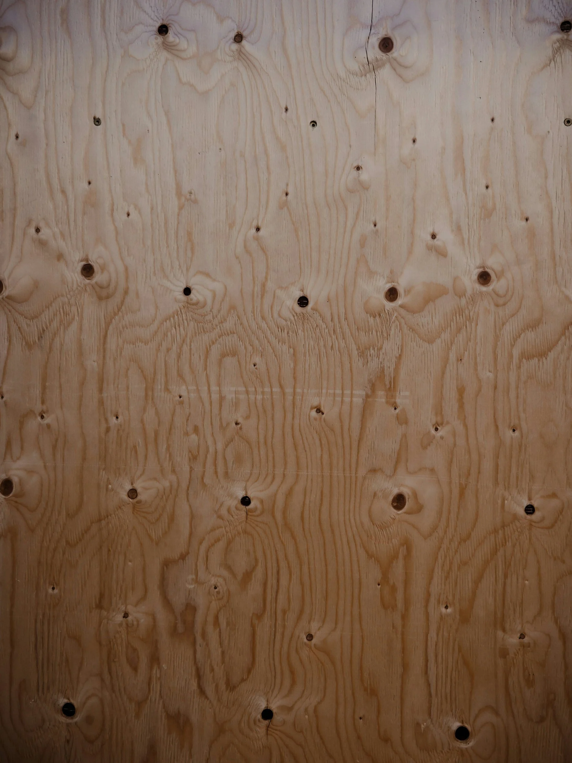 Plywood & OSB