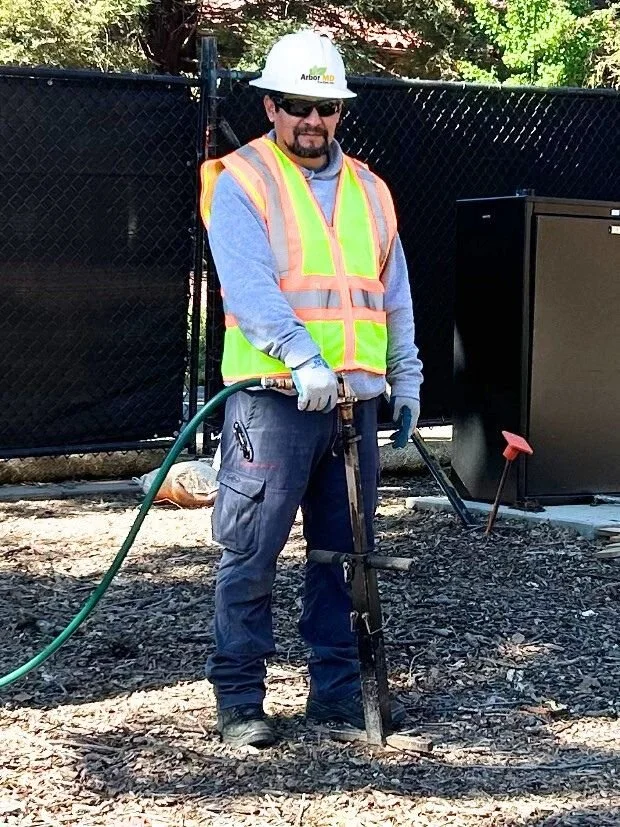 Summer Tree Care: Deep Root Watering