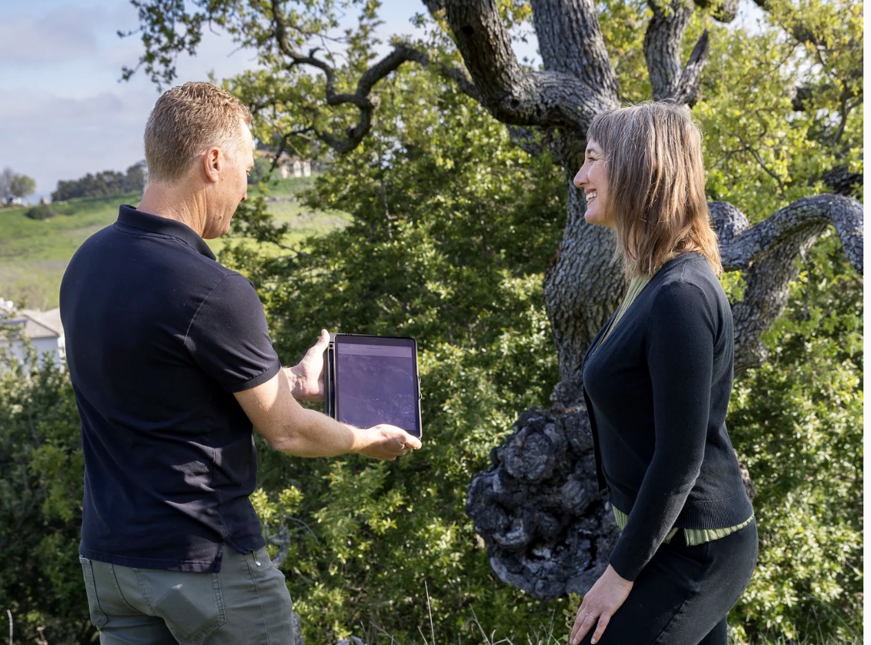Smart Budgeting for Commercial Tree Services