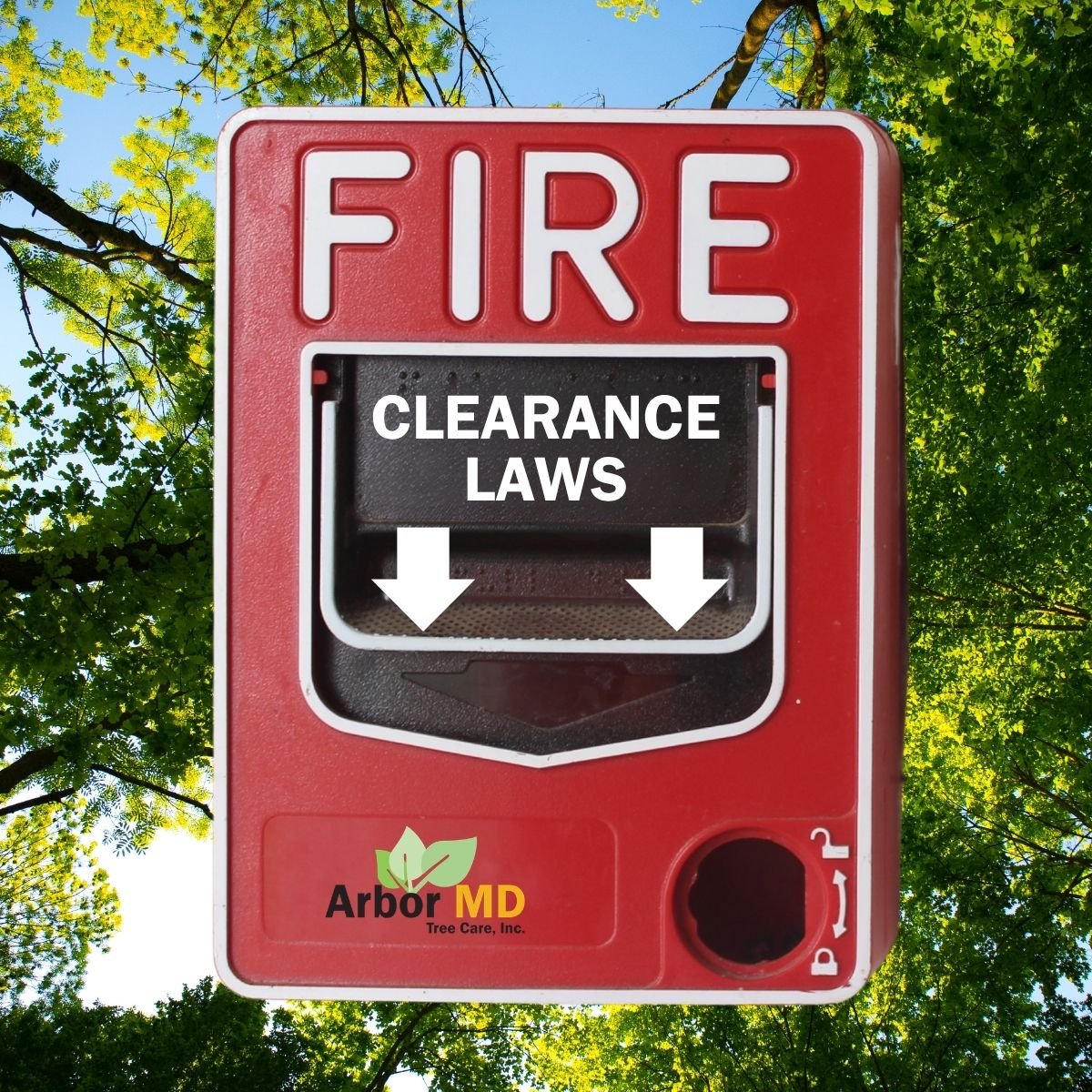 California Fire Clearance Laws - ArborMD Commercial Tree Care