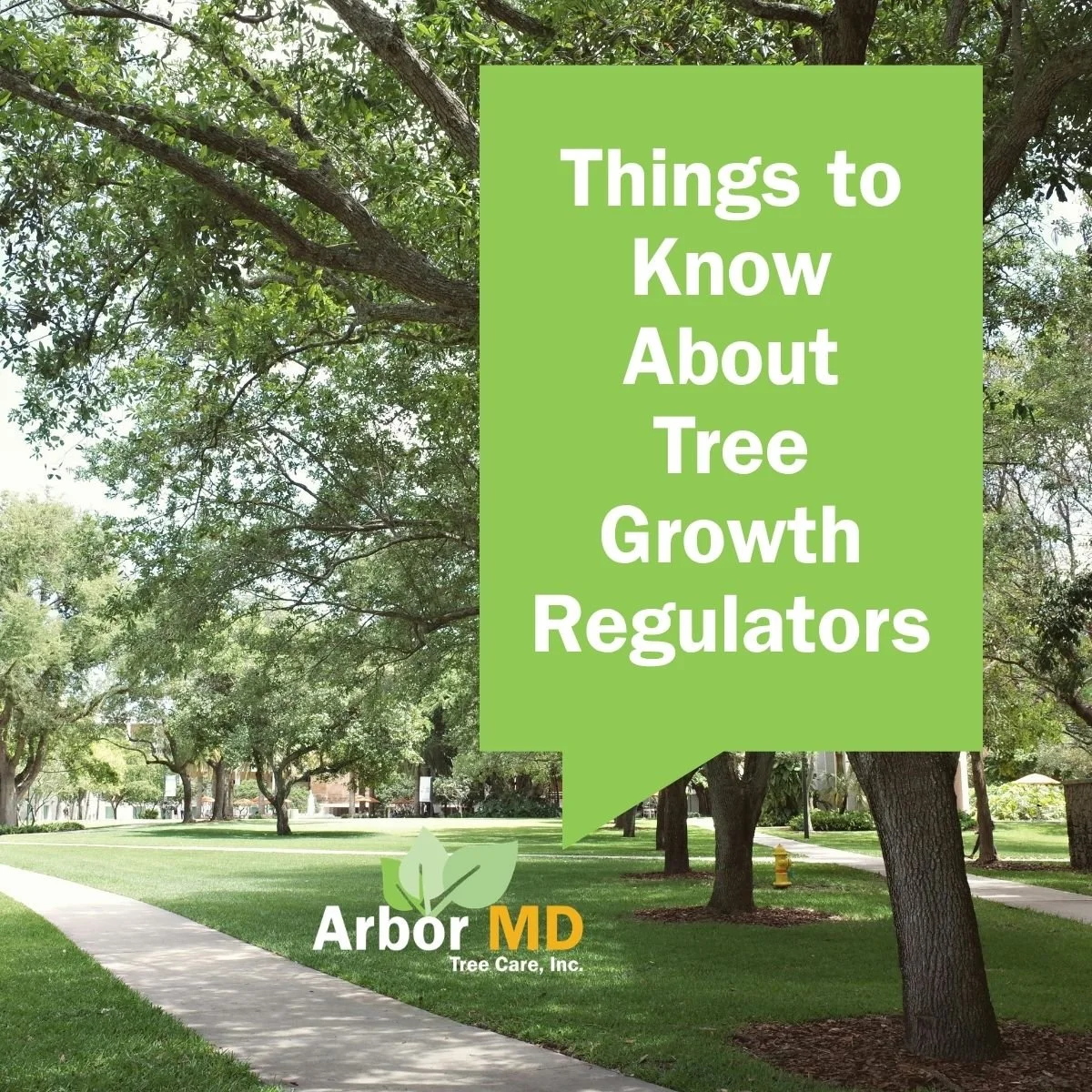 ARBOR MD shares things you need to know about tree regulators