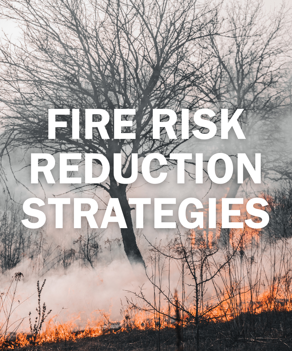Fire Risk Reduction Strategies for Summer