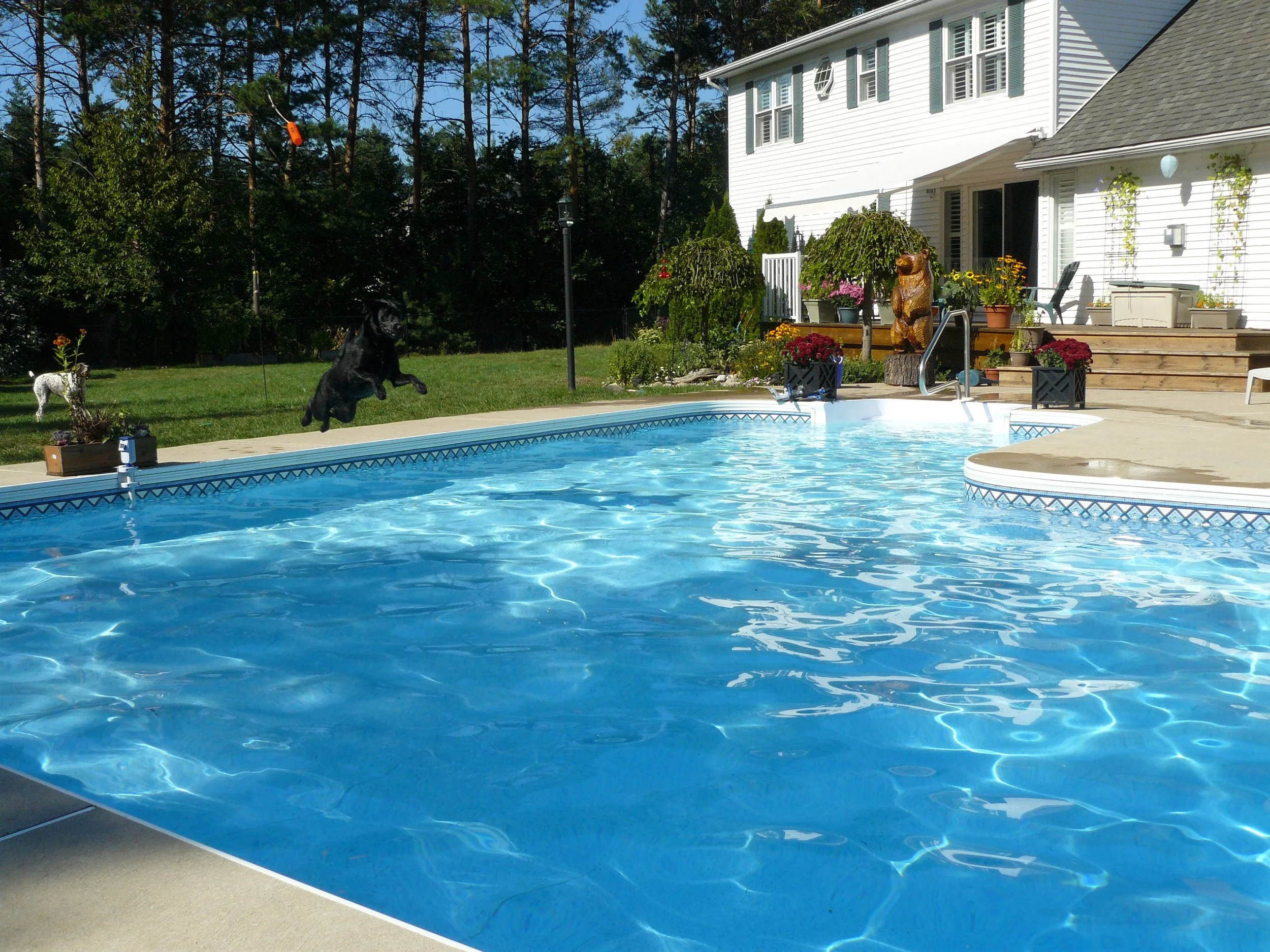Prestice Pool Prestige Pools