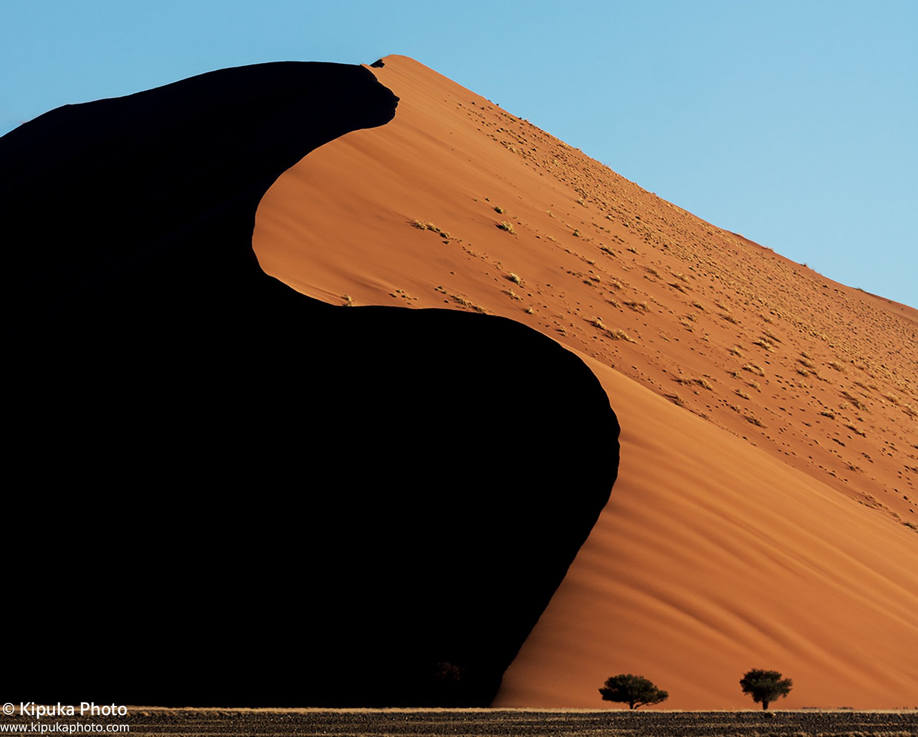 South Africa & Namibia 2025
