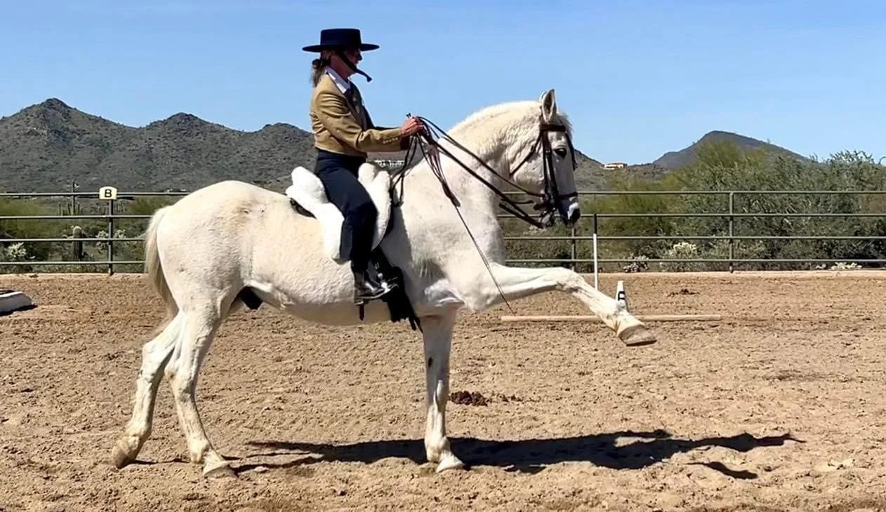 Horse-Based Businesses