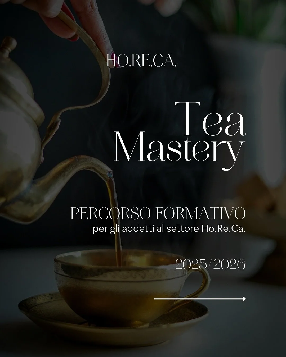 &Egrave; ARRIVATO &ldquo;TEA MASTERY&rdquo; 🌱

Un programma formativo pensato per i professionisti del settore Ho.Re.Ca. che desiderano acquisire conoscenze approfondite e competenze pratiche sul t&egrave; e sulle tisane.

Attraverso sessioni teoric
