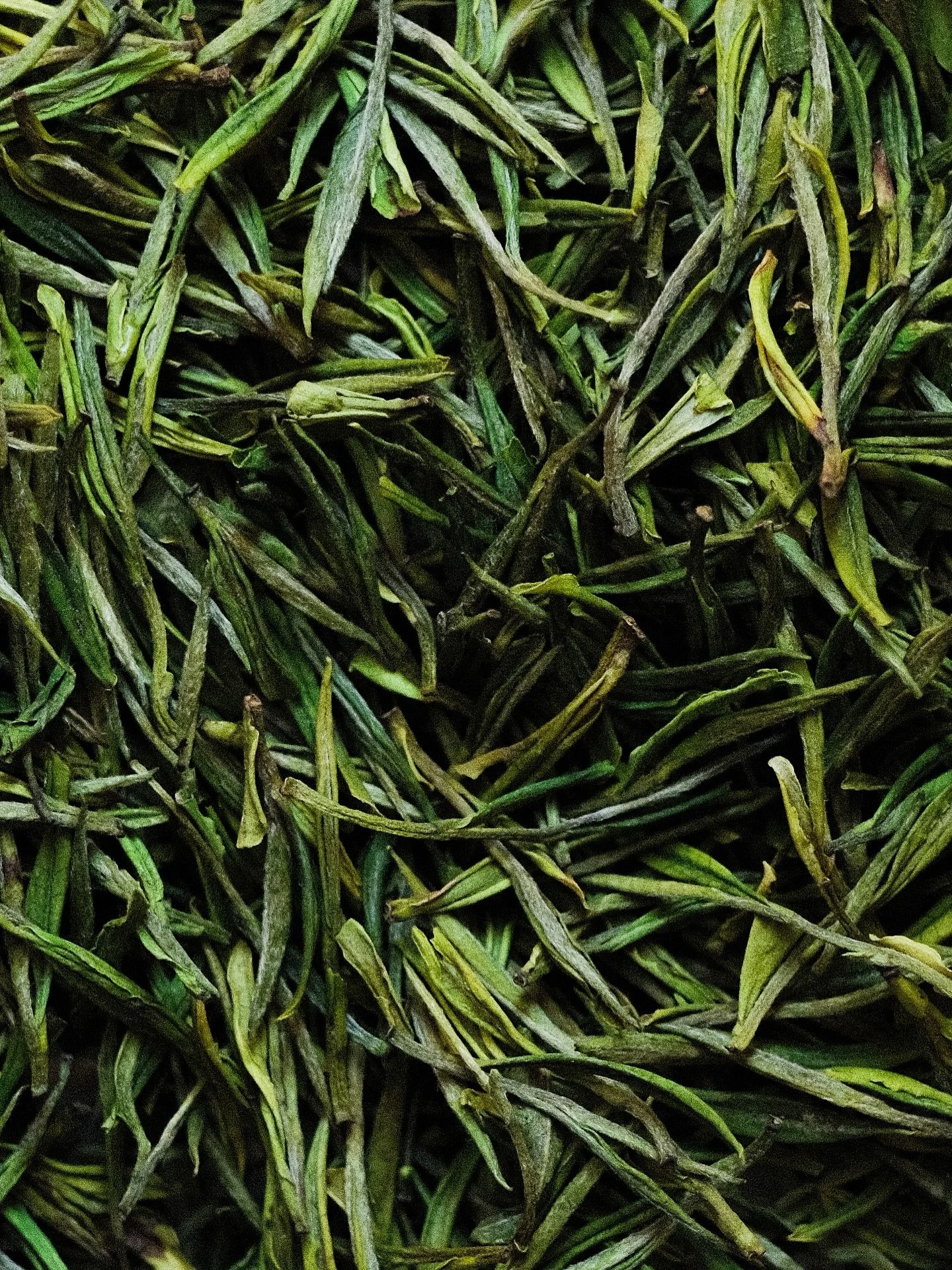 Anji Bai Cha &egrave; un pregiato t&egrave; verde cinese, proveniente dalla contea di Anji, nella provincia di Zhejiang.
&Egrave; ottenuto da gemme primaverili di una speciale cultivar albina, che si narra essere stata scoperta qualche decennio fa, d