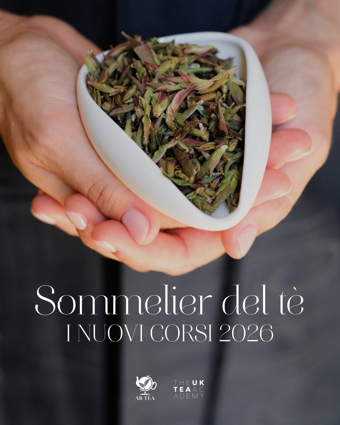 I nuovi corsi 2026 per diventare Sommelier del t&egrave; 🌱

Sono disponibili le nuove date del primo semestre 2026 per diventare Sommelier del t&egrave; certificati da UK Tea Academy, il pi&ugrave; prestigioso ente formativo di settore.

Quattro app