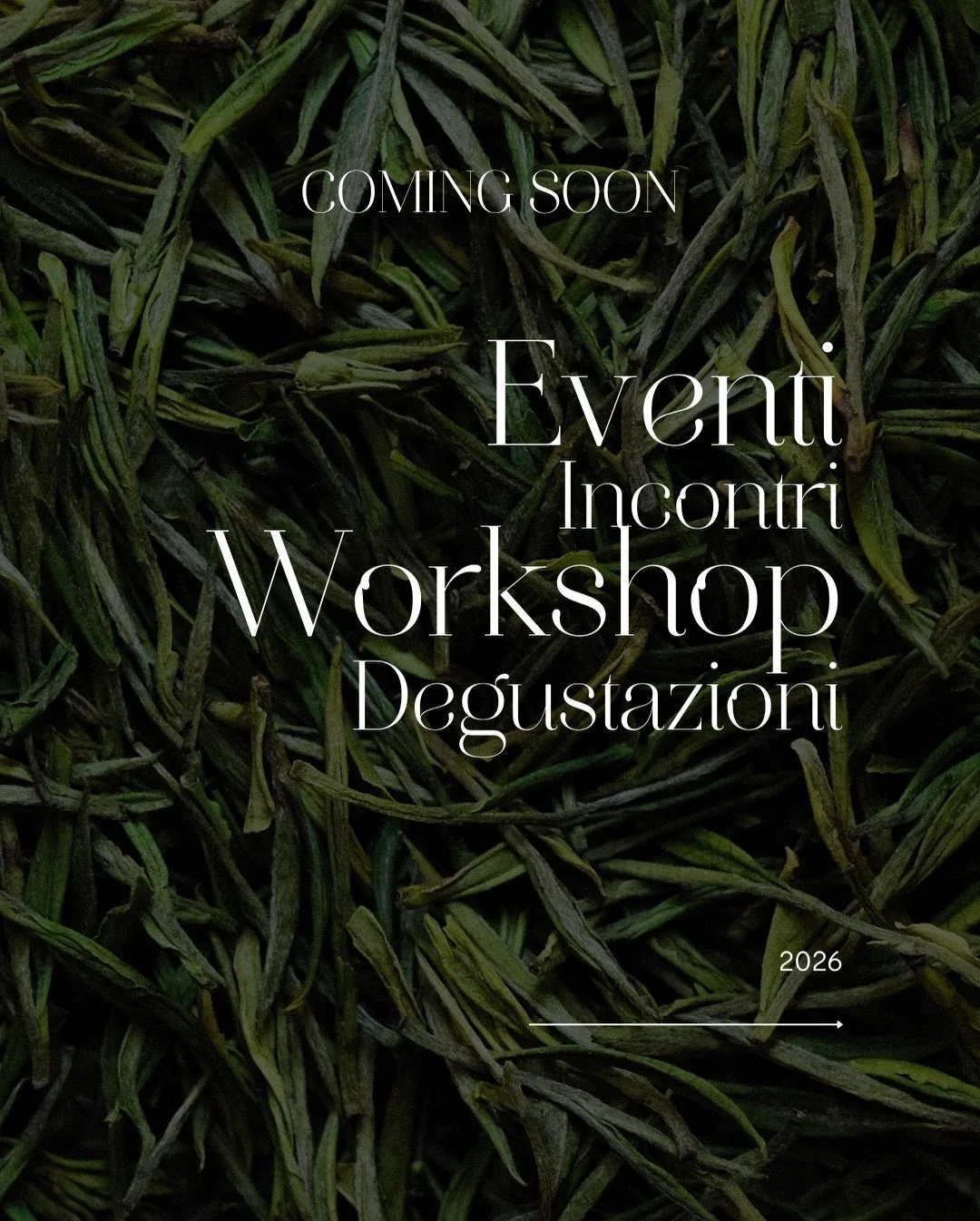 I NOSTRI EVENTI DI INIZIO 2026 🌱

Sono disponibili i prossimi appuntamenti, workshop e degustazioni di inizio 2026: scoprili nel nostro sito con il link in bio e prenota il tuo posto 🫶🏻

#ArTea #TeaSommelier
