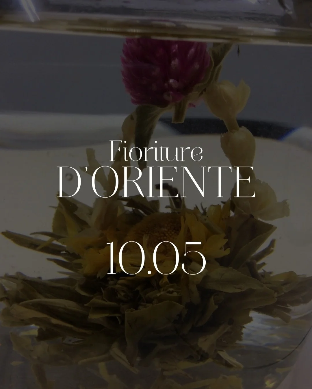 VIAGGIO TRA FOGLIE DI T&Egrave; E PETALI DI FIORI 🌱

La primavera &egrave; un&rsquo;esperienza sensoriale che dedichiamo all&rsquo;incontro tra le foglie di t&egrave; e i fiori freschi.

Una degustazione guidata di quattro t&egrave; floreali proveni