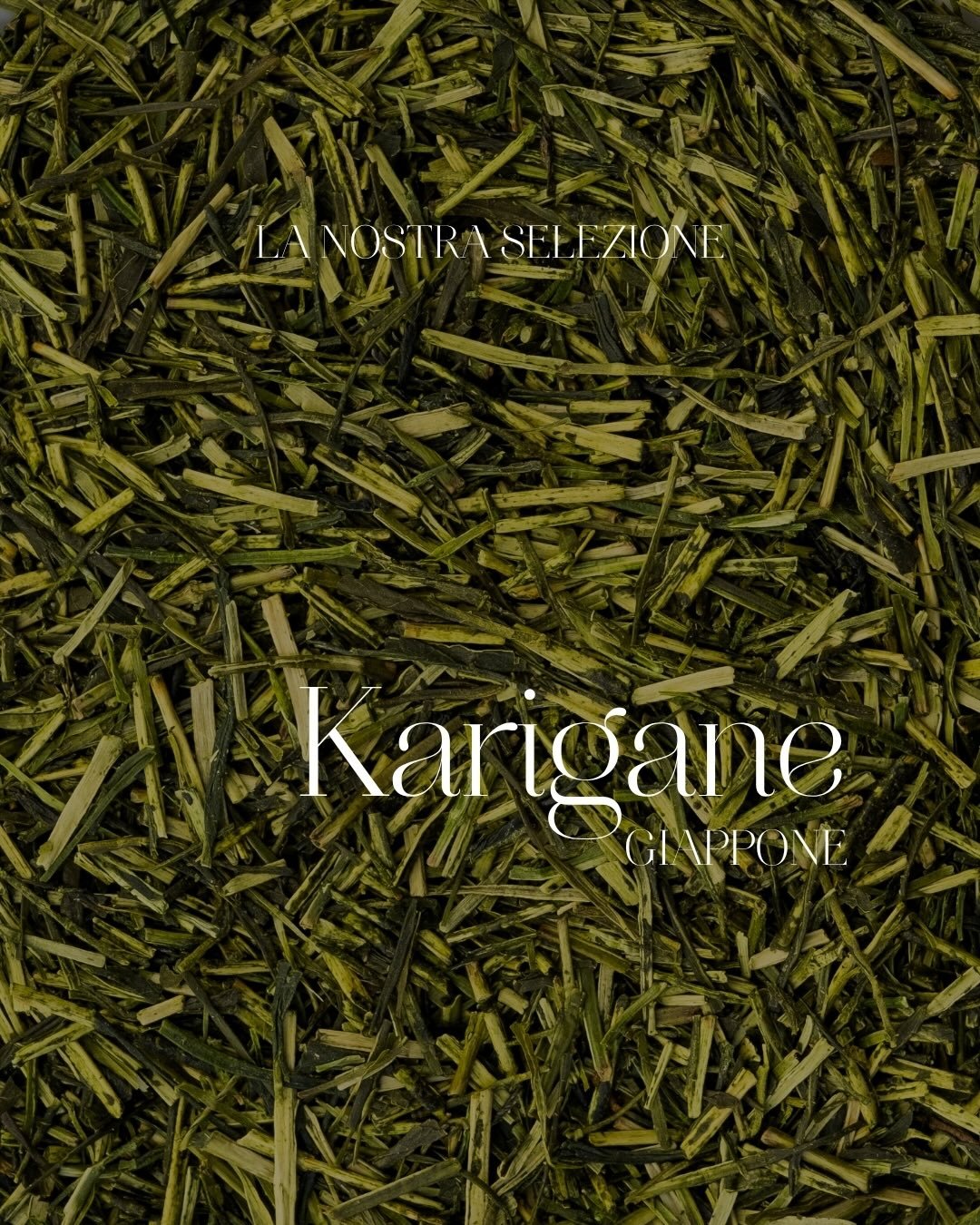Dal cuore di Kakegawa nasce il Karigane, un raffinato t&egrave; verde giapponese ottenuto dalla selezione di gambi e nervature provenienti da pregiate lavorazioni di gyokuro e sencha.
Tradizionalmente apprezzato in Giappone per la sua eleganza e deli