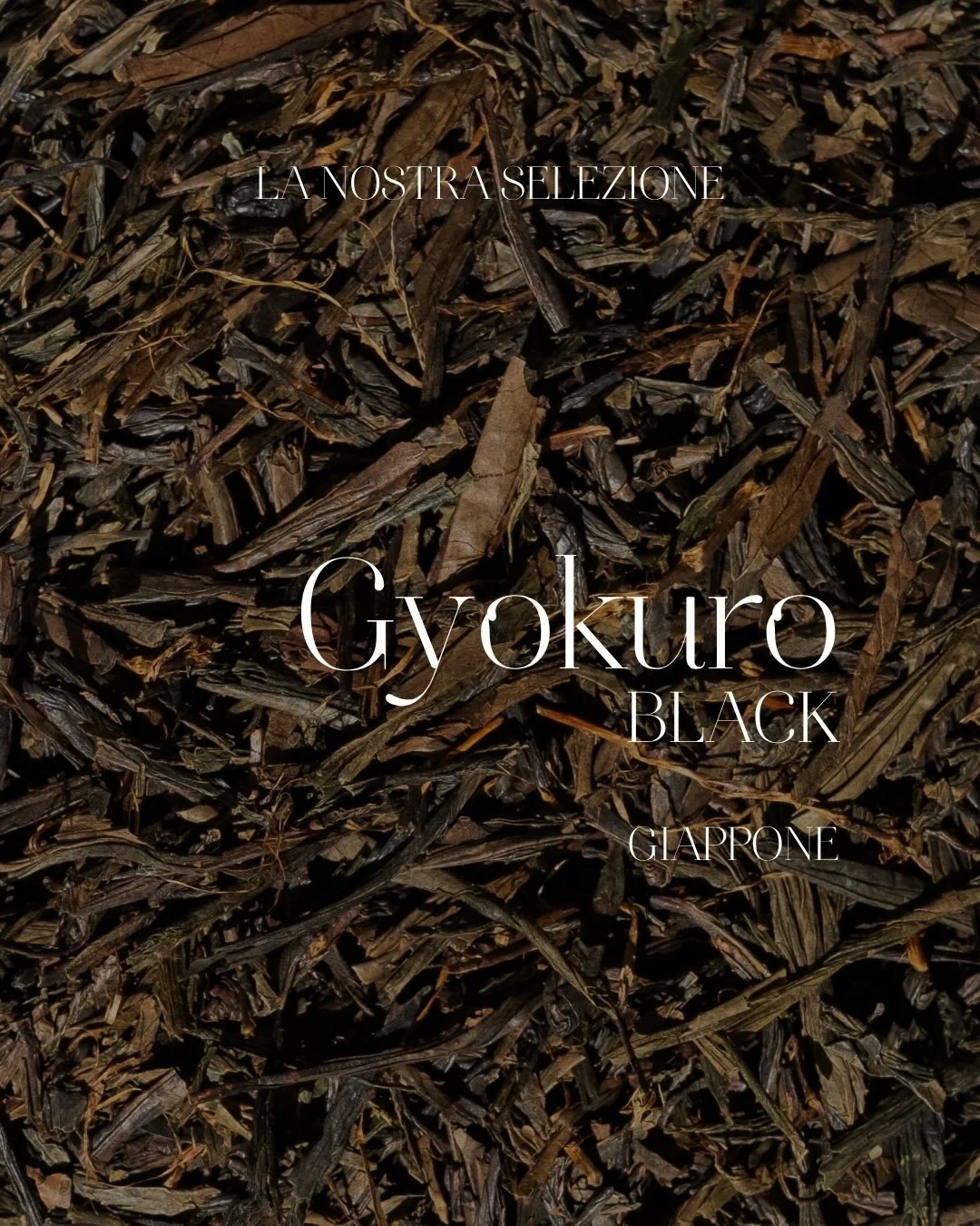 Dal cuore del Giappone nasce il nostro Gyokuro Black, un t&egrave; raro e raffinato che unisce l&rsquo;eleganza del Gyokuro alla profondit&agrave; ossidativa del t&egrave; nero.
In tazza regala note dolci, umami e vellutate, con sfumature di miele, f