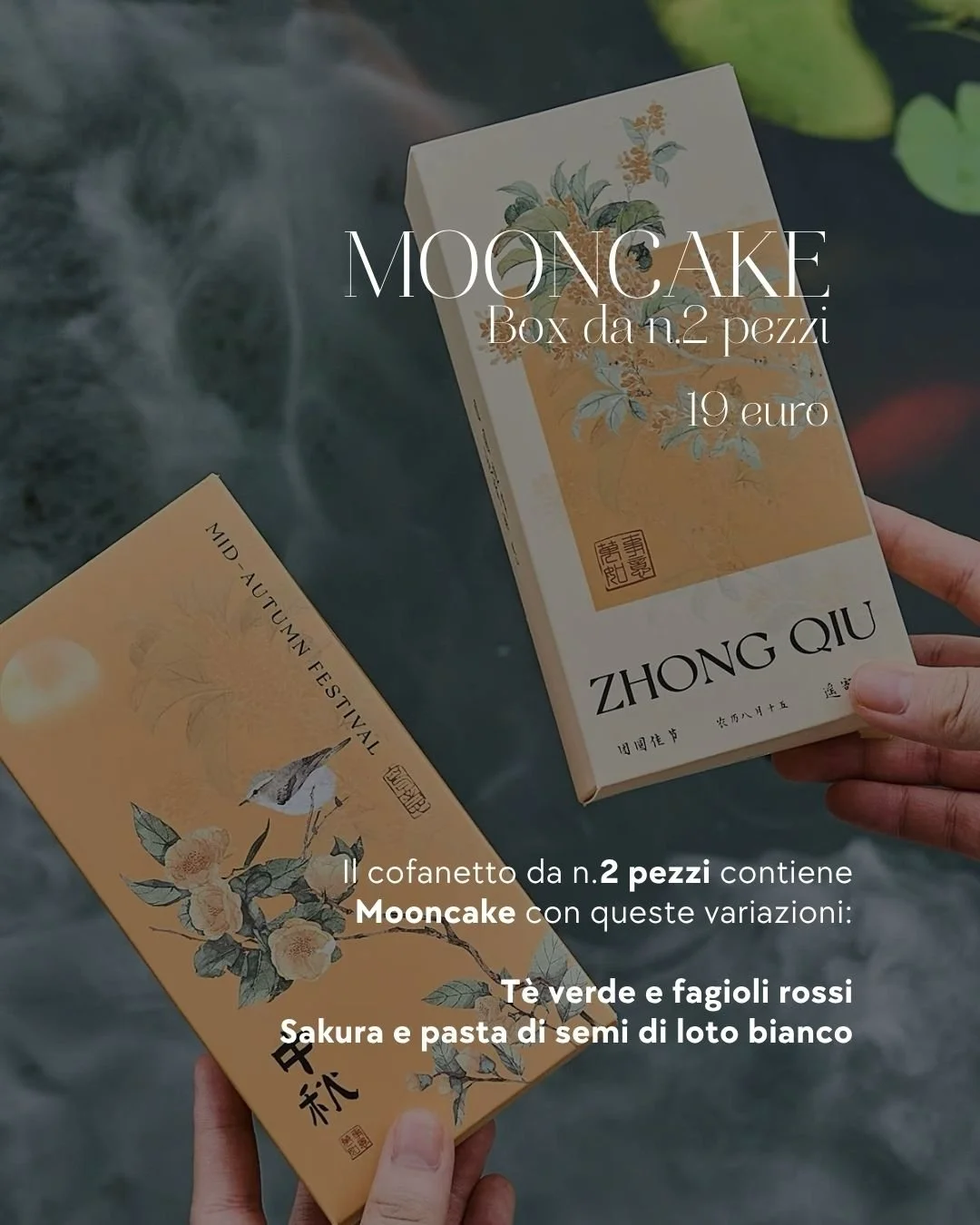 Mooncake - 2pm.jpg