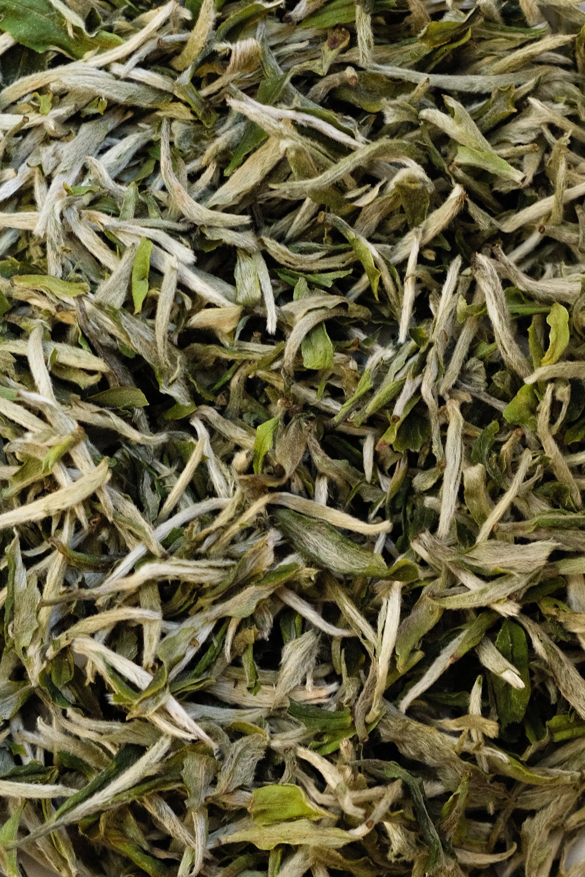 AR-TEA-31.jpg