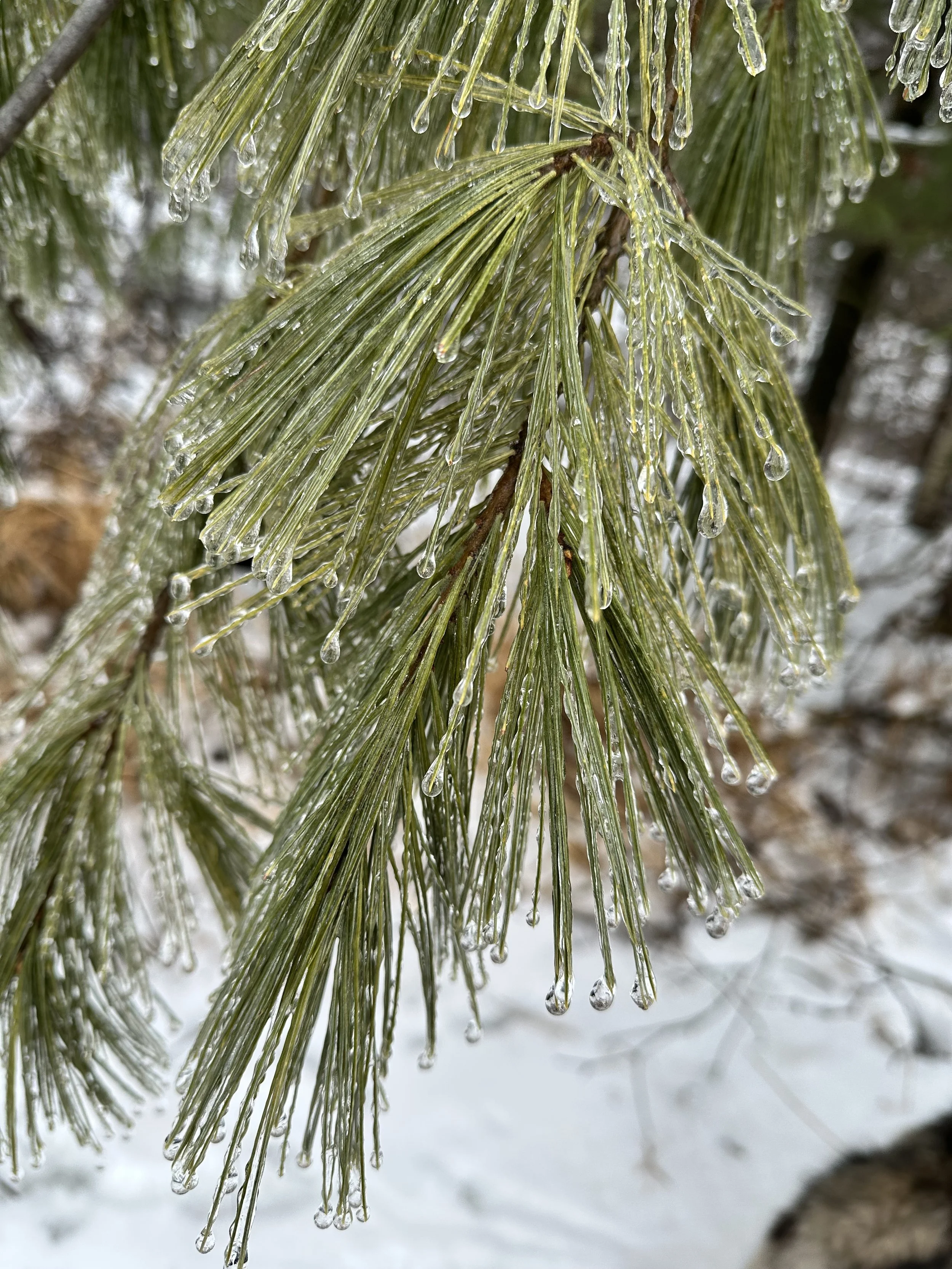 December 2021 in Wisconsin…