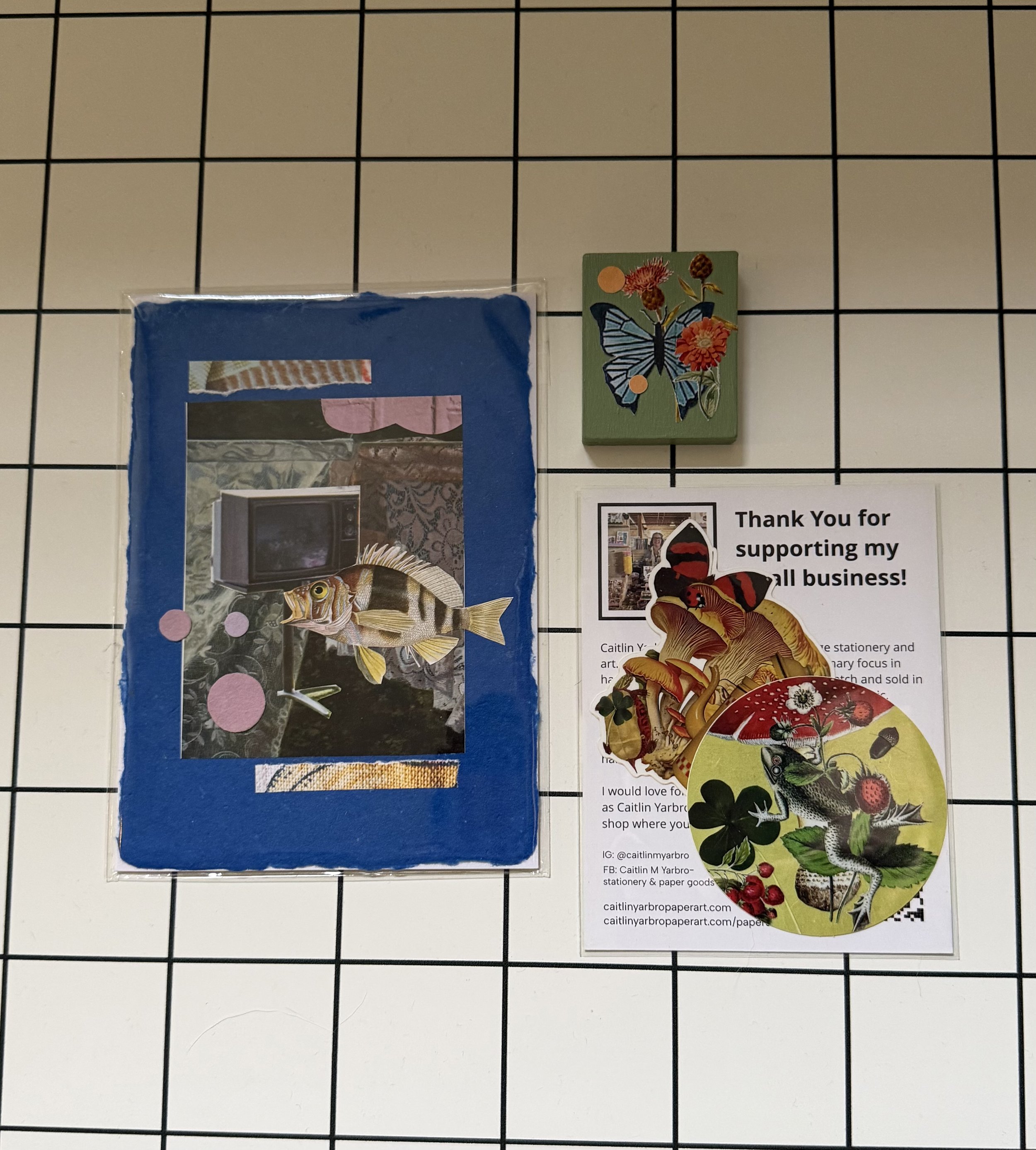 “TV Fish” Bundle