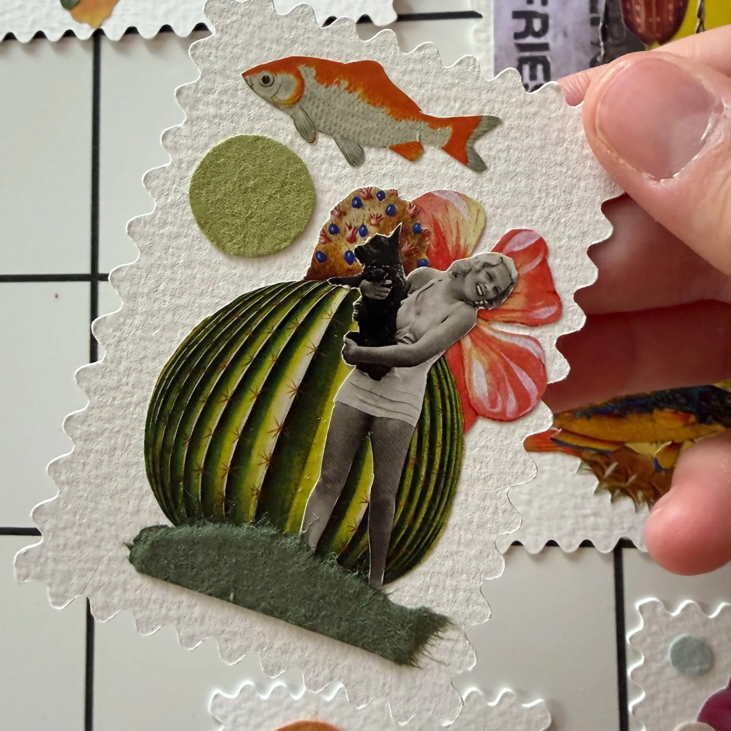 IMG_8216.jpg