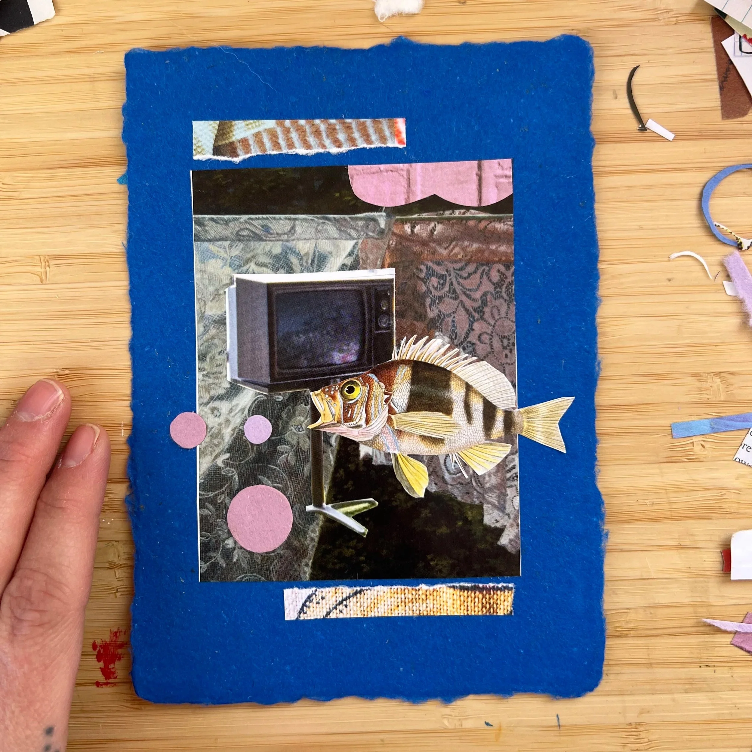“Fish TV” Collage