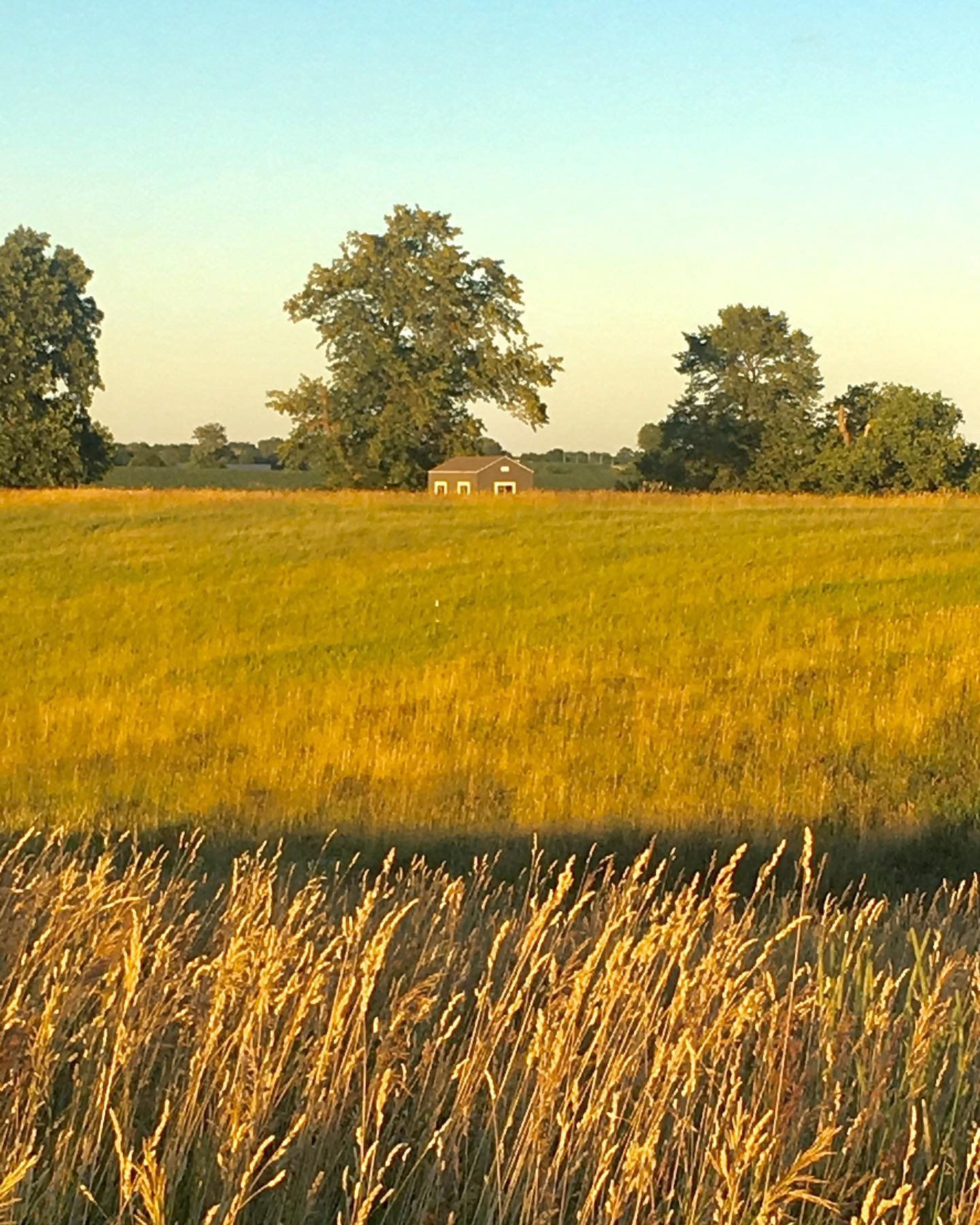 Late summer on the beautiful small farm that inspired the Farmer Tom books. #farmertombooks #connectwithnature #cultivateanadventure