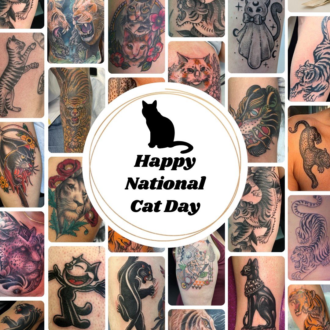 From House Cats to Big Cats, kitties make amazing tattoos!

Happy National Cat Day!

Get your next cat inked by clicking the link in our bio to set up a consult or an appointment!

#Timeless #TimelessTattoo #CatTattoos #BlackCat #BlackCatTattoo #Pant