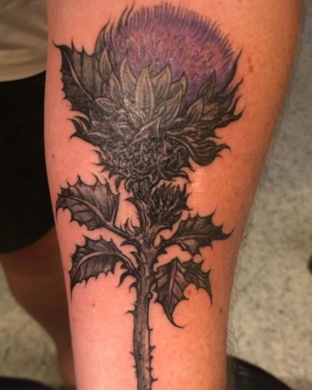 They say Milk Thistle promotes healthy skin, and we couldn't agree more. Especially when it's applied in ink by @lewhands 

Appointments available (check our site for details)!
Walk Ins Always Welcome.

#Timeless #TimelessTattoo #Atlanta #AtlantaTatt