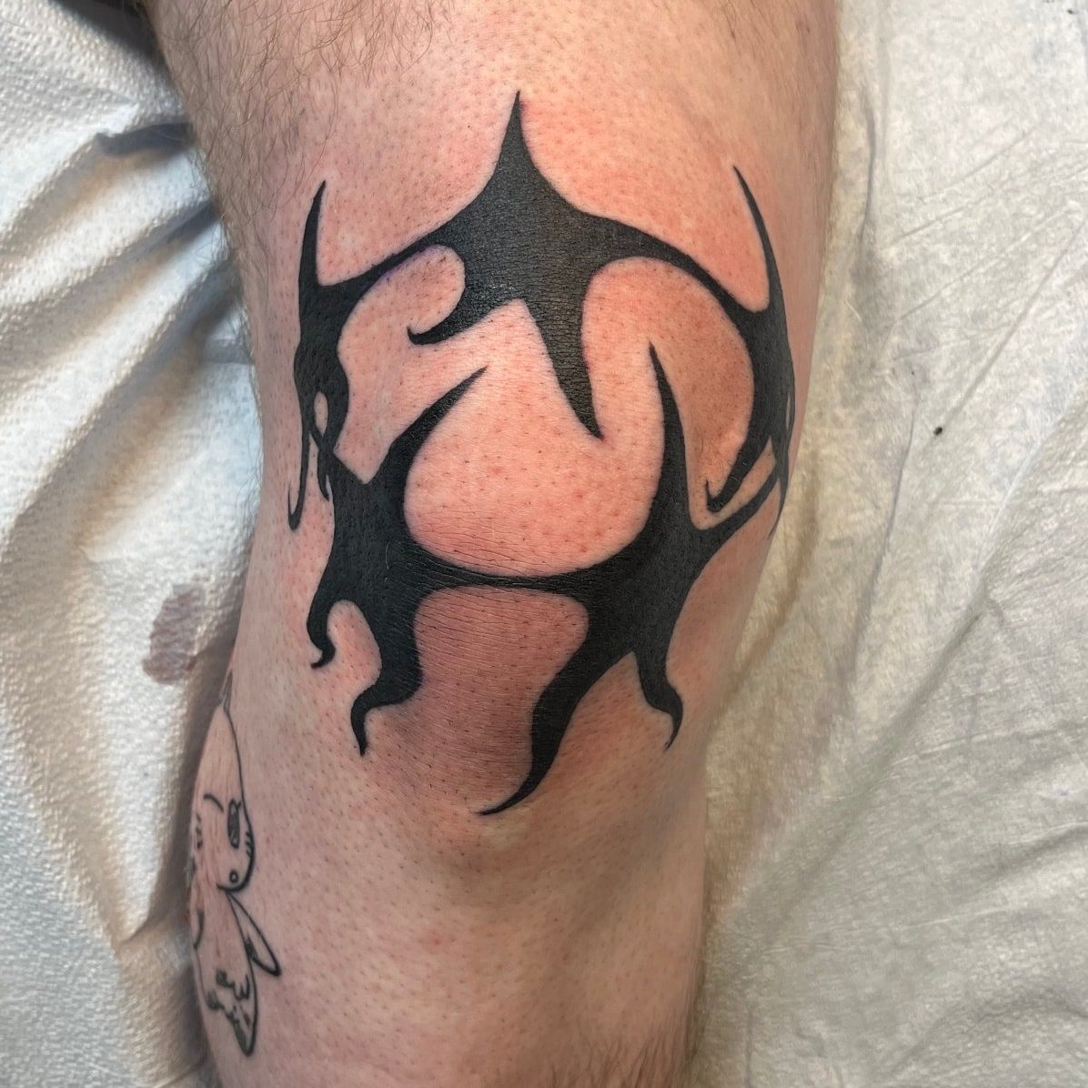 Knee blaster for Jasper! Poked by our own @snowden_tattoo

Check out the link in our bio to book your next tattoo with Snowden Thursday thru Sundays at Timeless

 #kneetattoo #blackworktattoo #tribaltattoos #atlantatattoos #walkinswelcome