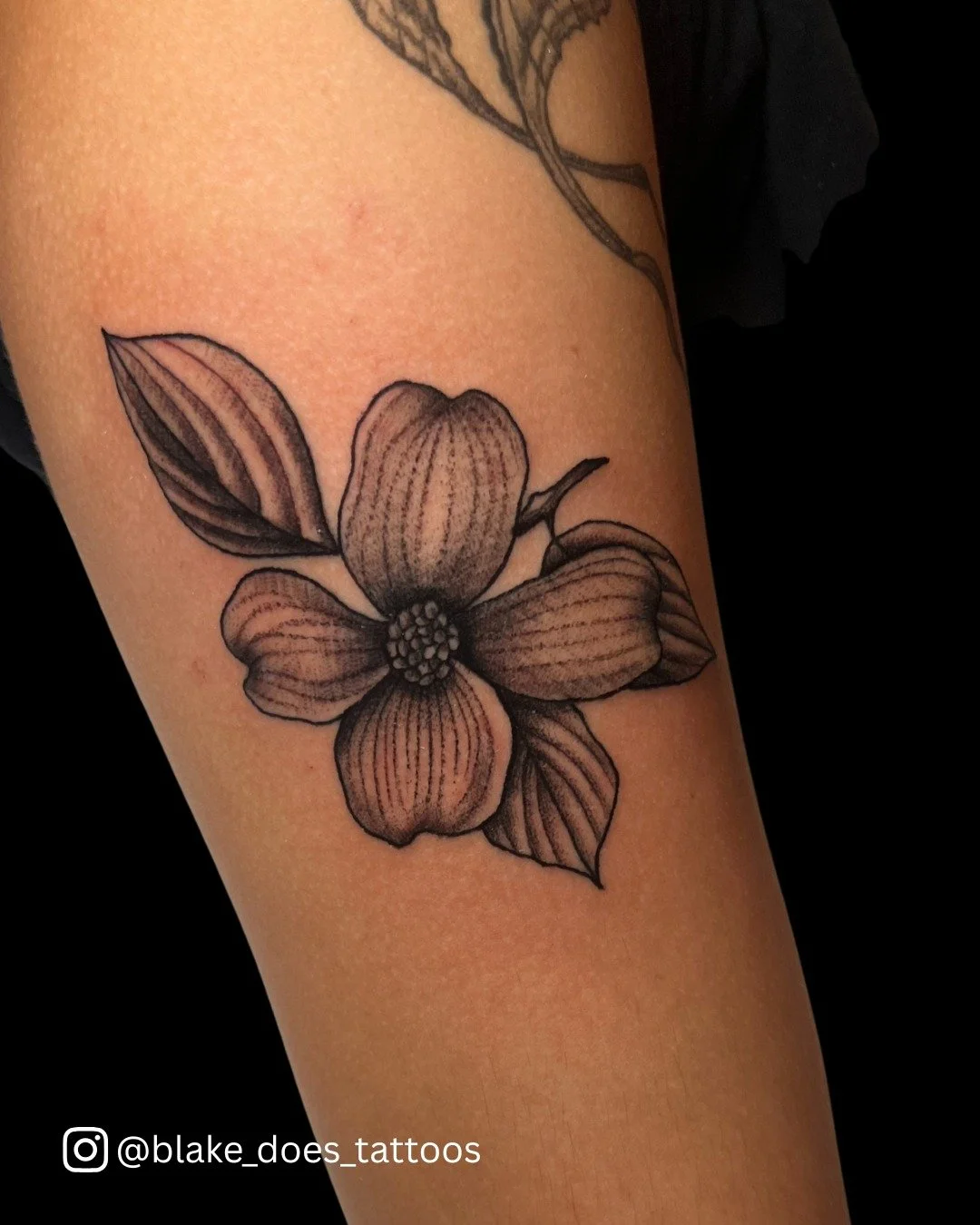 This gorgeous dogwood flower by @blake_does_tattoos has us dreaming of spring!
Did you know those white or pink "petals" on the dogwood blossom aren't petals at all? They're actually called bracts which are modified leafs meant to attract p