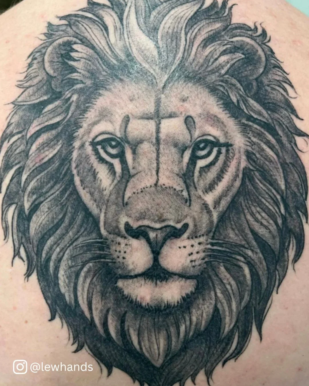 If we said @lewhands  was the goat, would we be lion?

Follow for more awful puns (but fantastic tattoos!) and use the link on our website to snag a spot on Lew's books!

#TimelessTattooATL #ATLANTA #BlackAndGreyTattoo #Lion #LionTattoo #BlackAndGrey