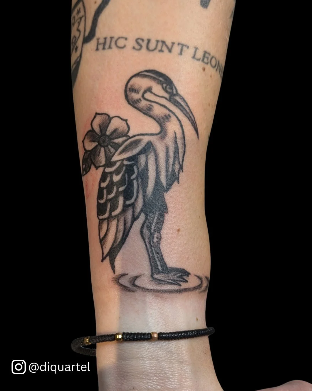 An adult heron's wingspan measures more than 6 feet &amp; they toss their prey in the air to swallow fish headfirst to protect their esophagus from the scales! TMYK!

This heron, inked by @diquartel, may not measure six feet across, but its impact is