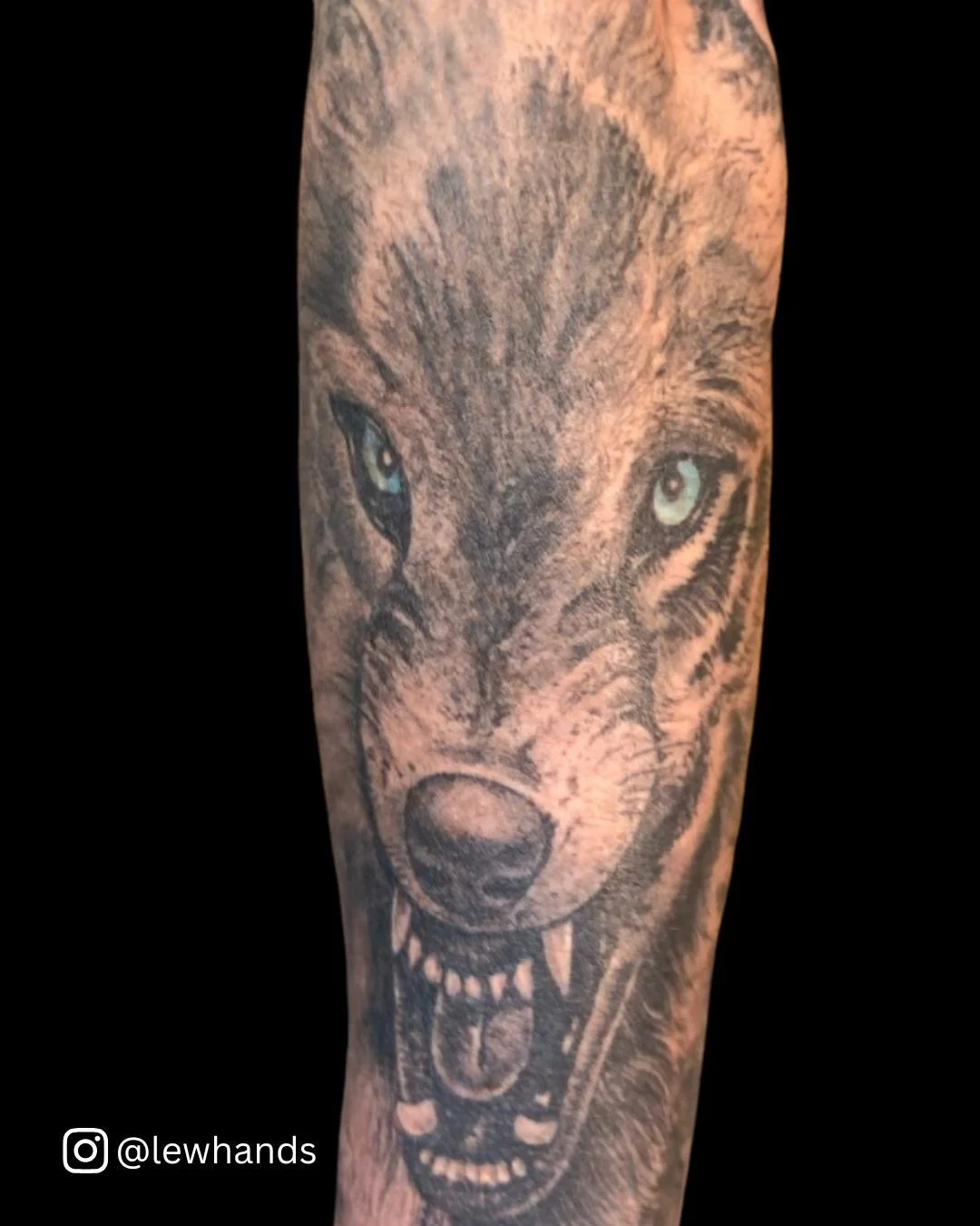 Hungry like the wolf for a new tattoo from @lewhands ?

Click the link in our bio. or call the shop to get a spot on his books!

#TimelessTattooATL #AtlantaTattoo #Wolf #WolfTattoo