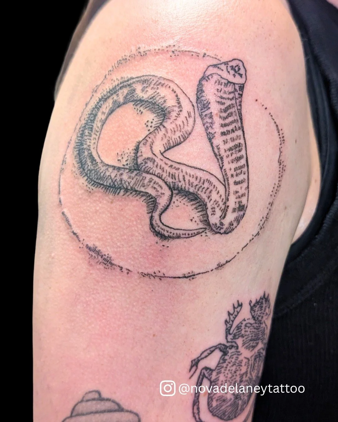 @novadelaneytattoo got to help a client pursue her "personal legend" with a couple illustrations from The Alchemist! Gotta love a literary tattoo.

Email, call, or use the link on our website to grab a spot on Nova's books!
Walk Ins Always 
