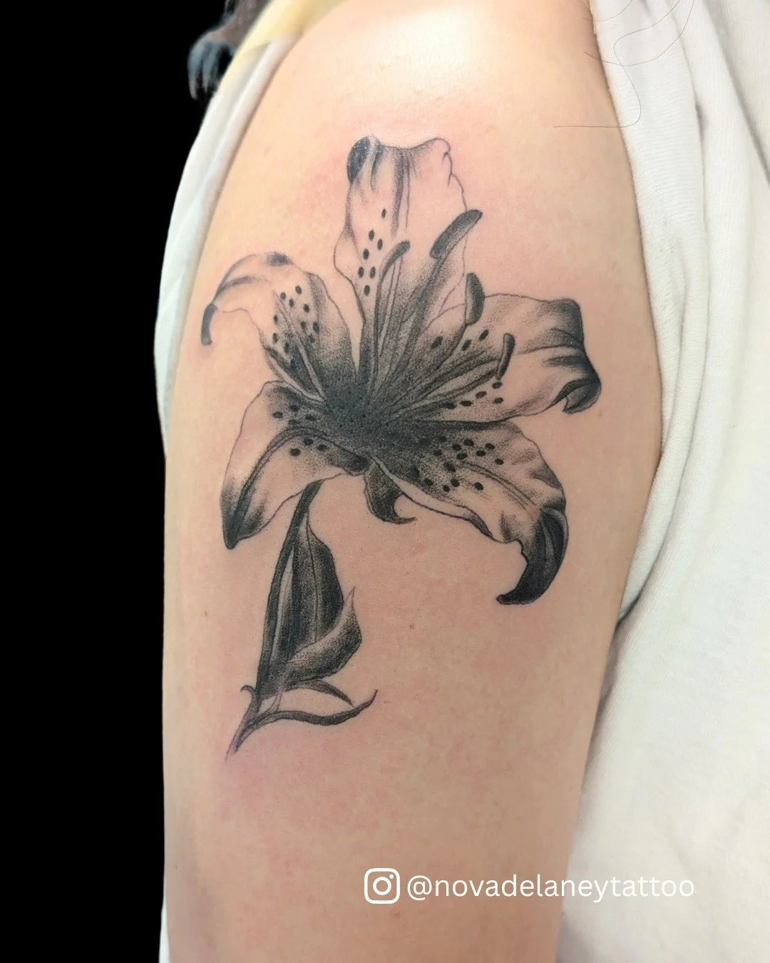 The lilies are blooming with @novadelaneytattoo 

Visit our website to grab your spot on Nova's books!
Walk Ins Always Welcome

#TimelessTattooATL #AtlantaTattoo #LilyTattoo #BlackAndGreyTattoo