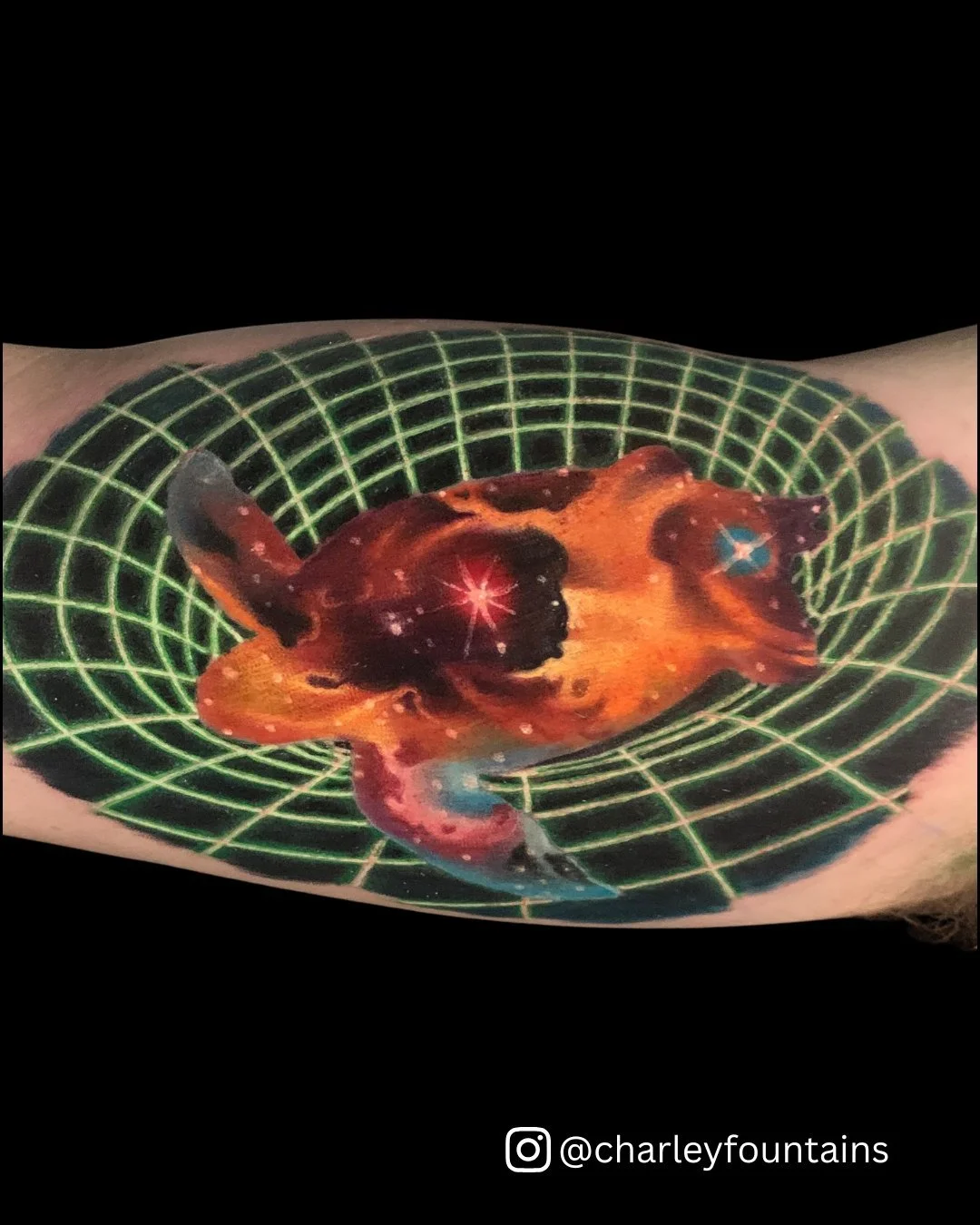 Vote for your favorite World Turtle quote while you gaze into this beauty from @charleyfountains :

A) "We don't even know if we're in this room. We could be in a turtle's dream in outer space." &mdash; Frank Reynolds
B) "The place whe