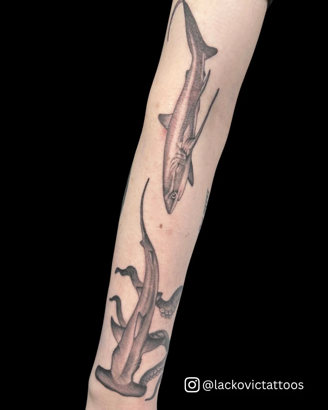 As a group of sharks is called a shiver, we think "shiver me timbers" is the only appropriate response to this gorgeous pair from @lackovictattoos !

Custom or walk in, Kristin does it all. Check the link in our bio to find a spot on her bo