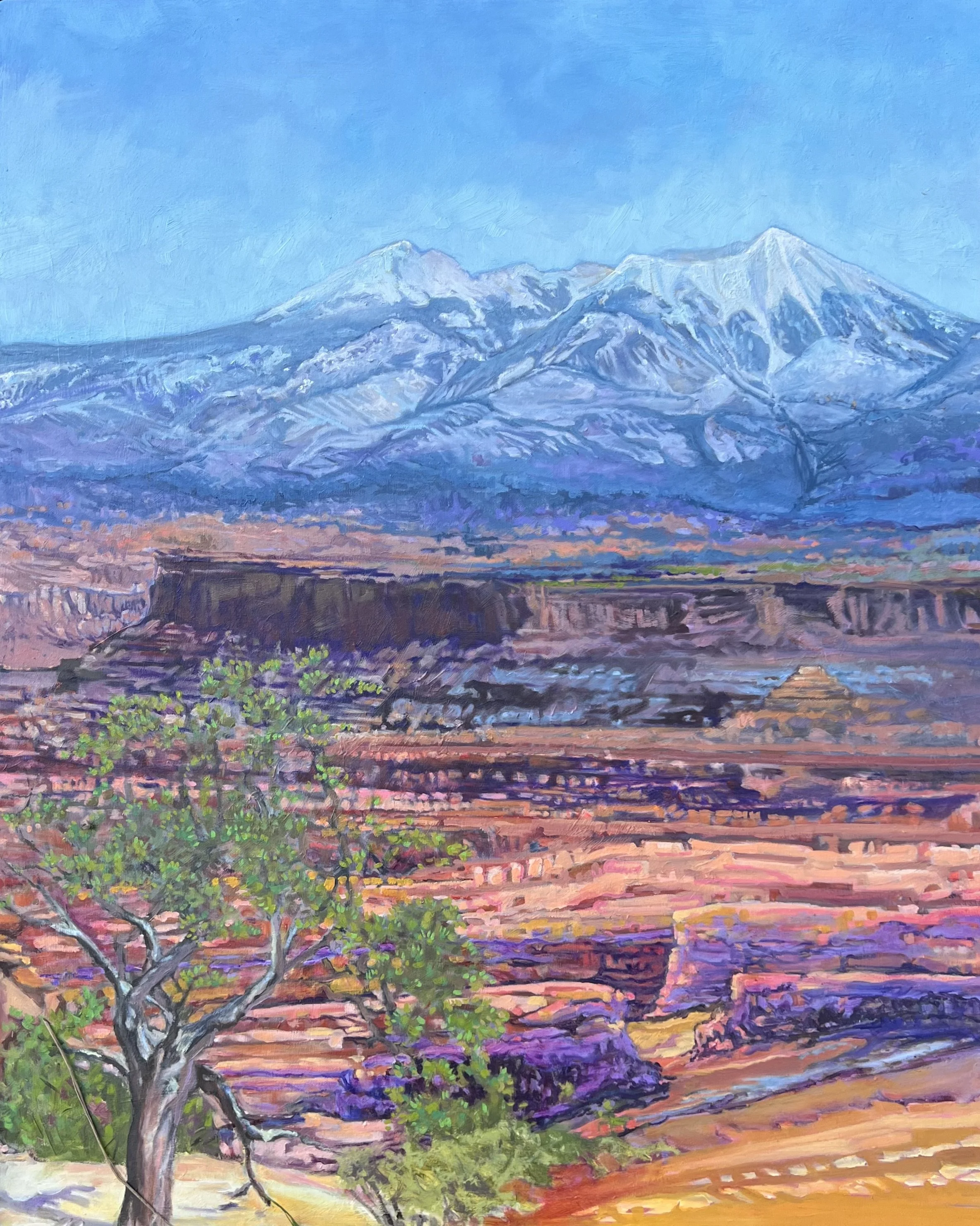 'Canyonlands II' 2025, oil on canvas
30" x 36".