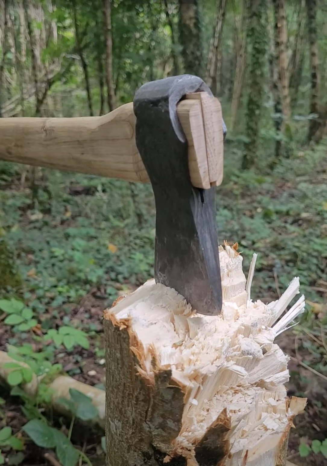 axe in log.PNG