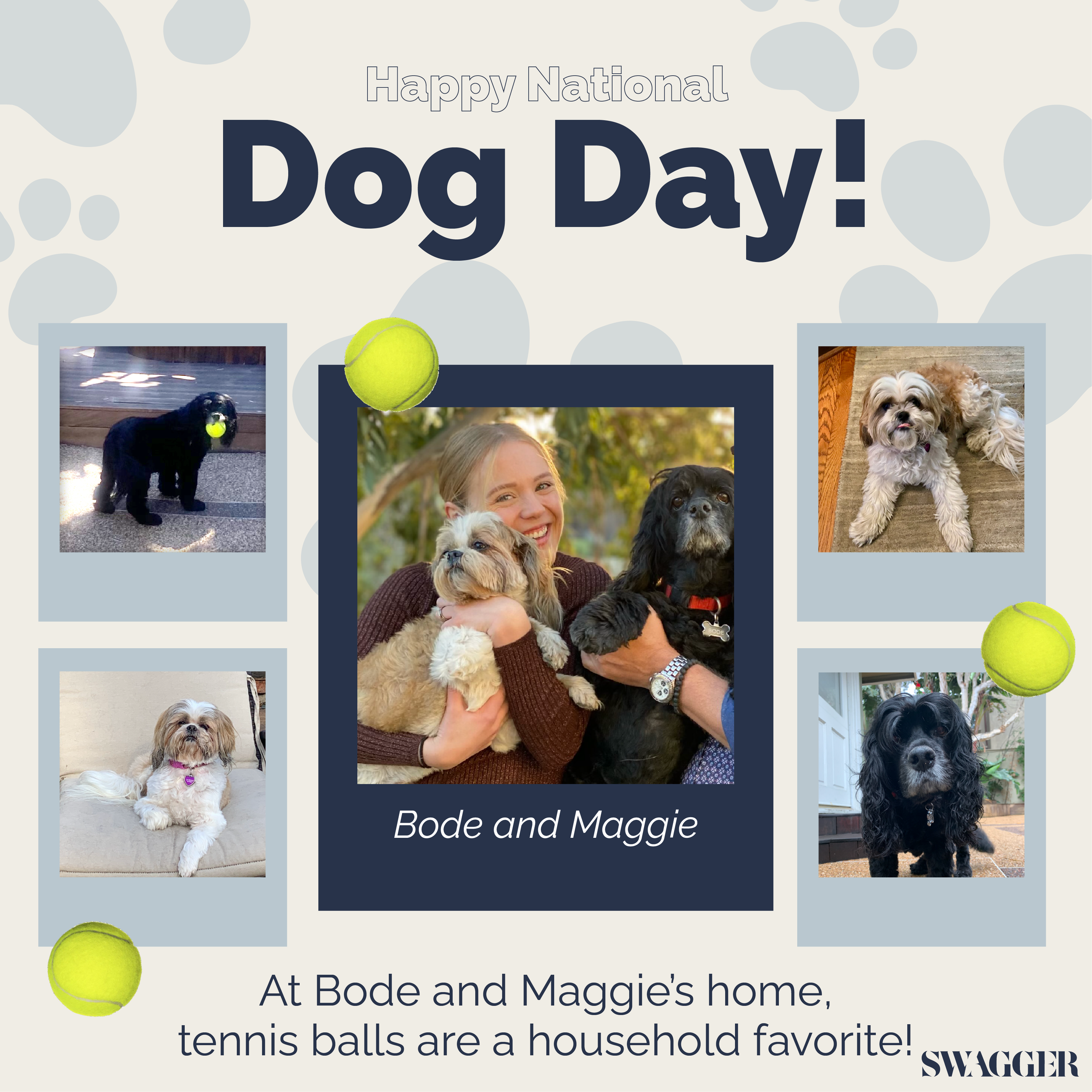 DogDay_IndividualPost_Ali.png