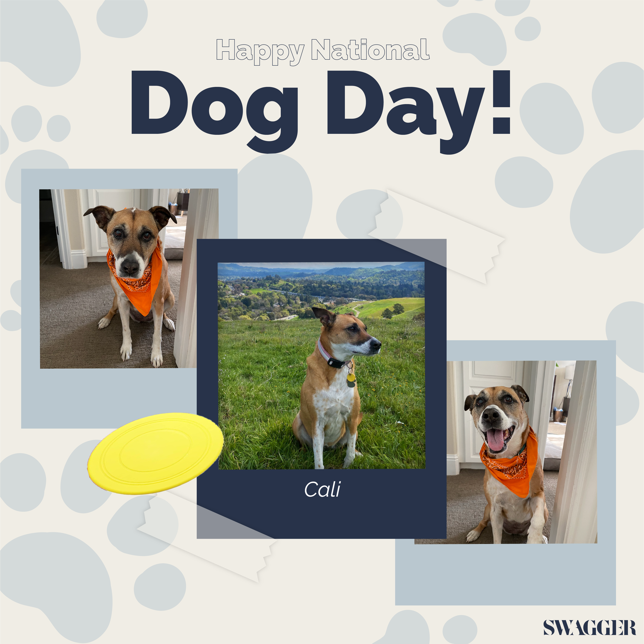 DogDay_IndividualPost_VanessaV.png