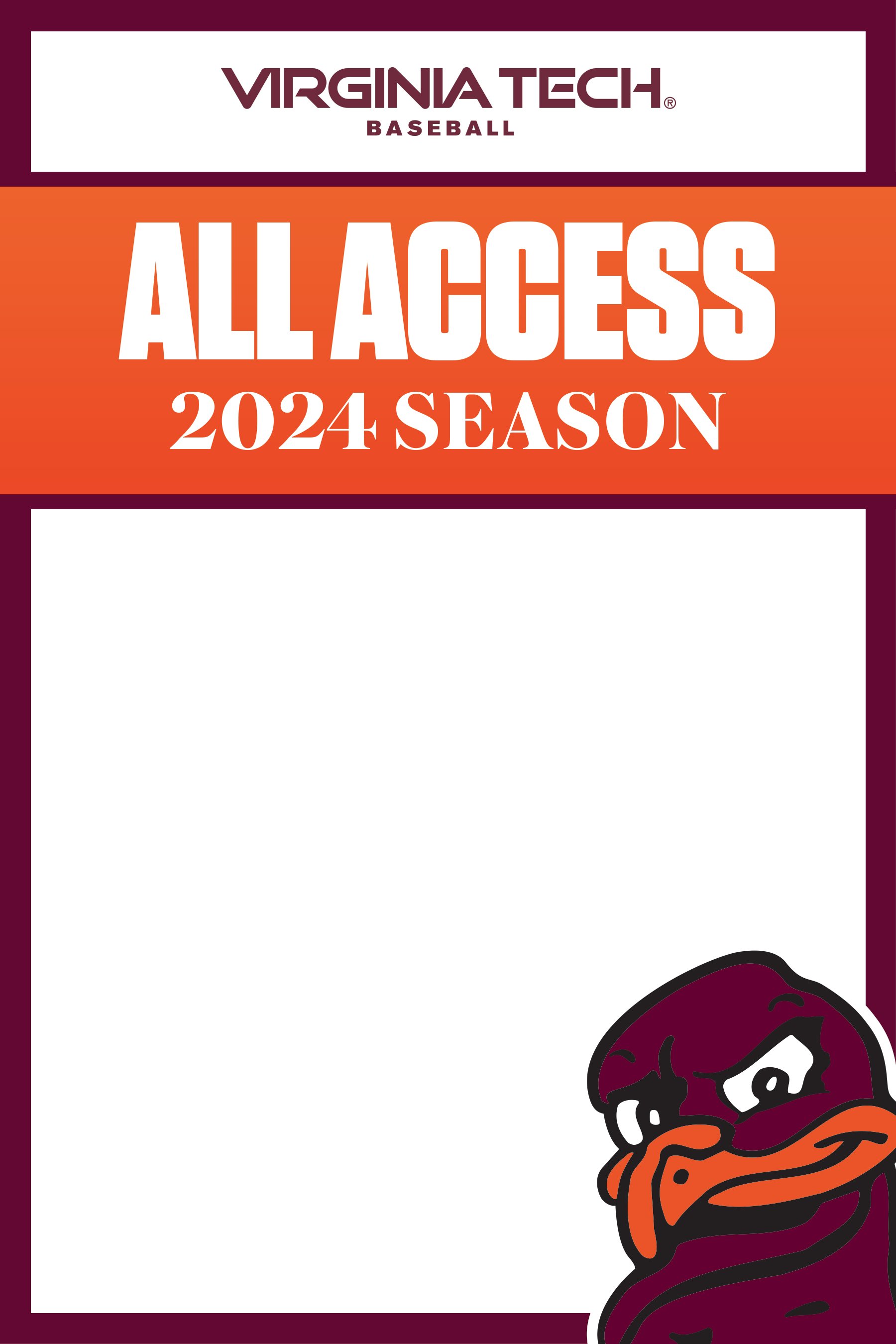 Baseball All Access Pass for PHA's.jpg