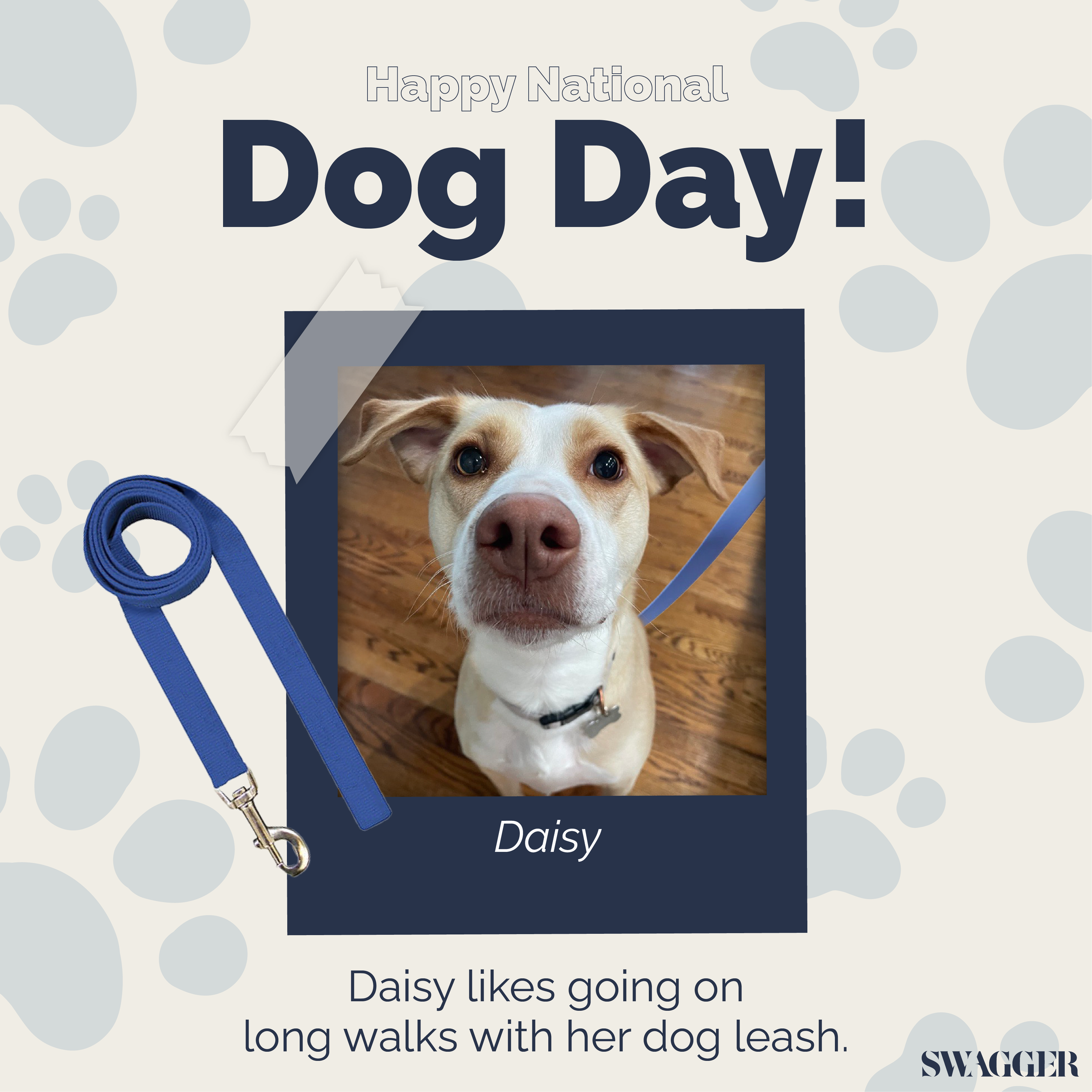 DogDay_IndividualPost_VanessaN.png